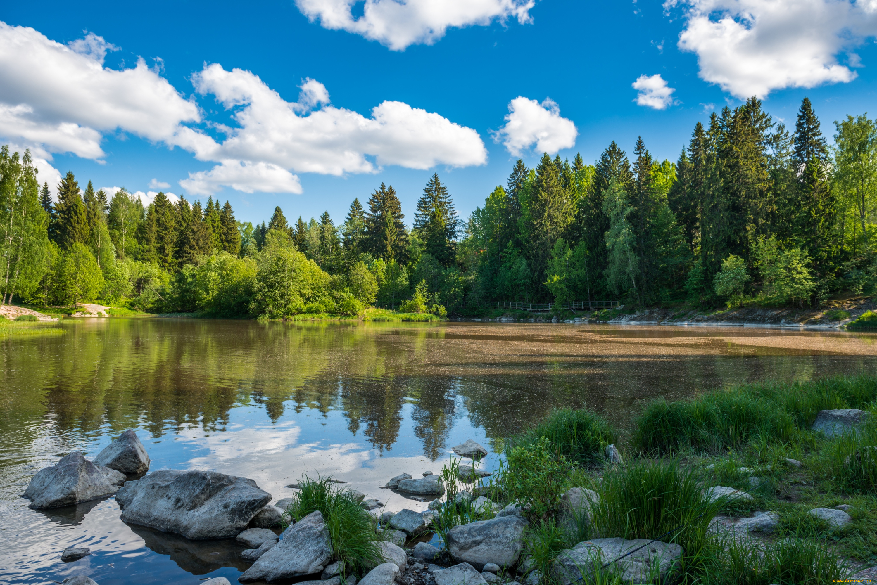 природа, реки, озера, вода, лес