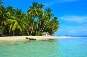 Картинка природа тропики пальмы океан пляж побережье лодка каноэ хижина