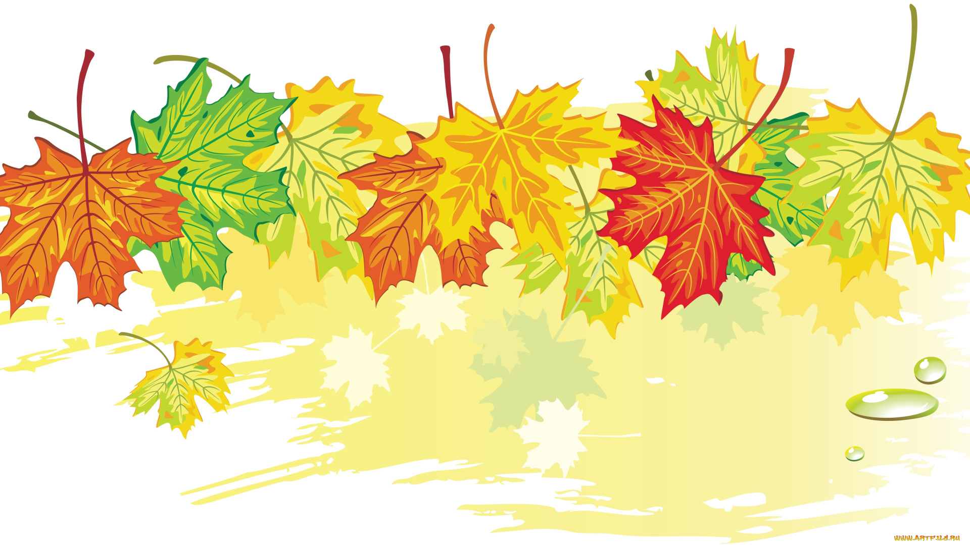векторная, графика, природа, , nature, осень, фон, листья