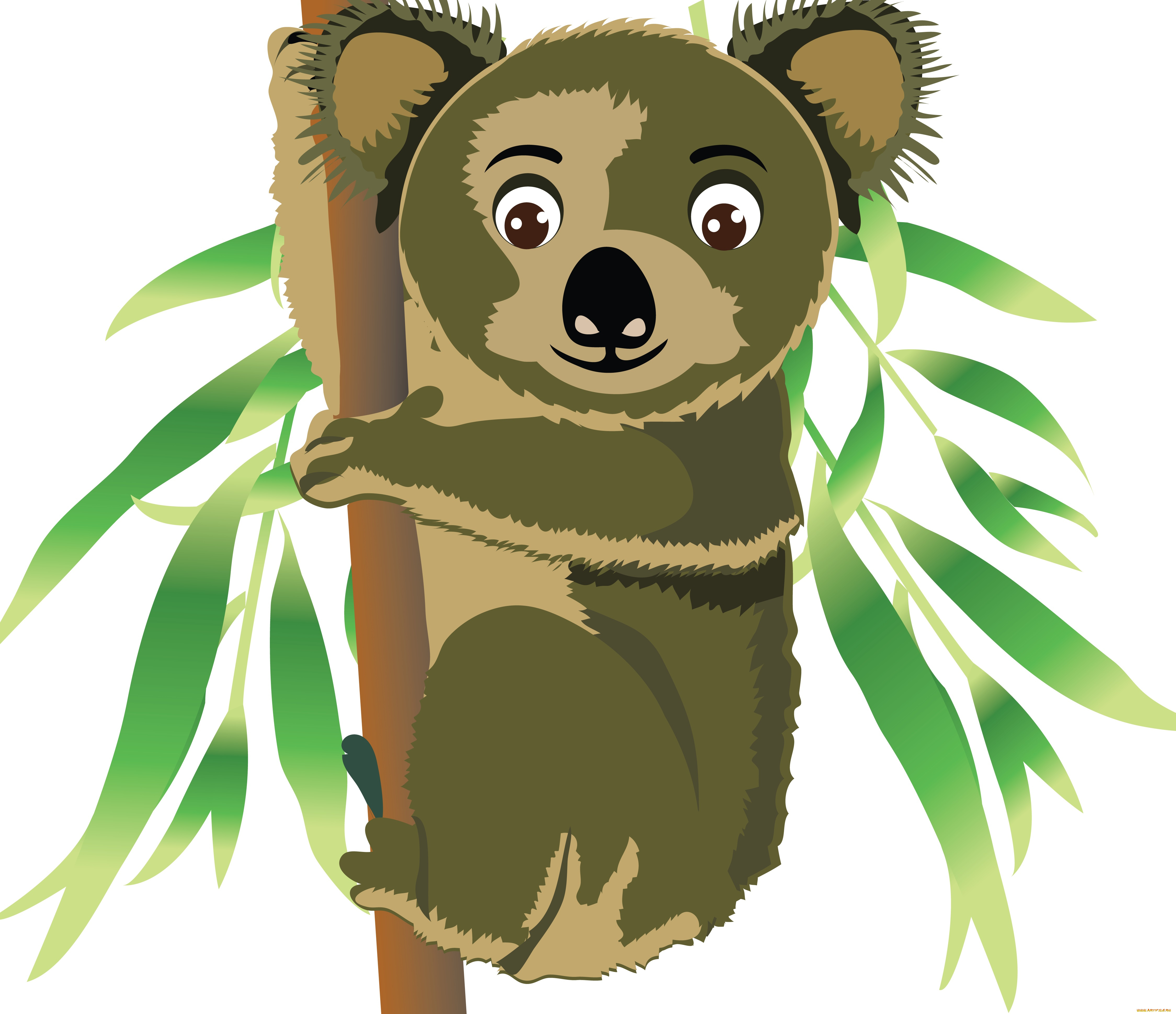 векторная, графика, животные, , animals, коала, бамбук, листья