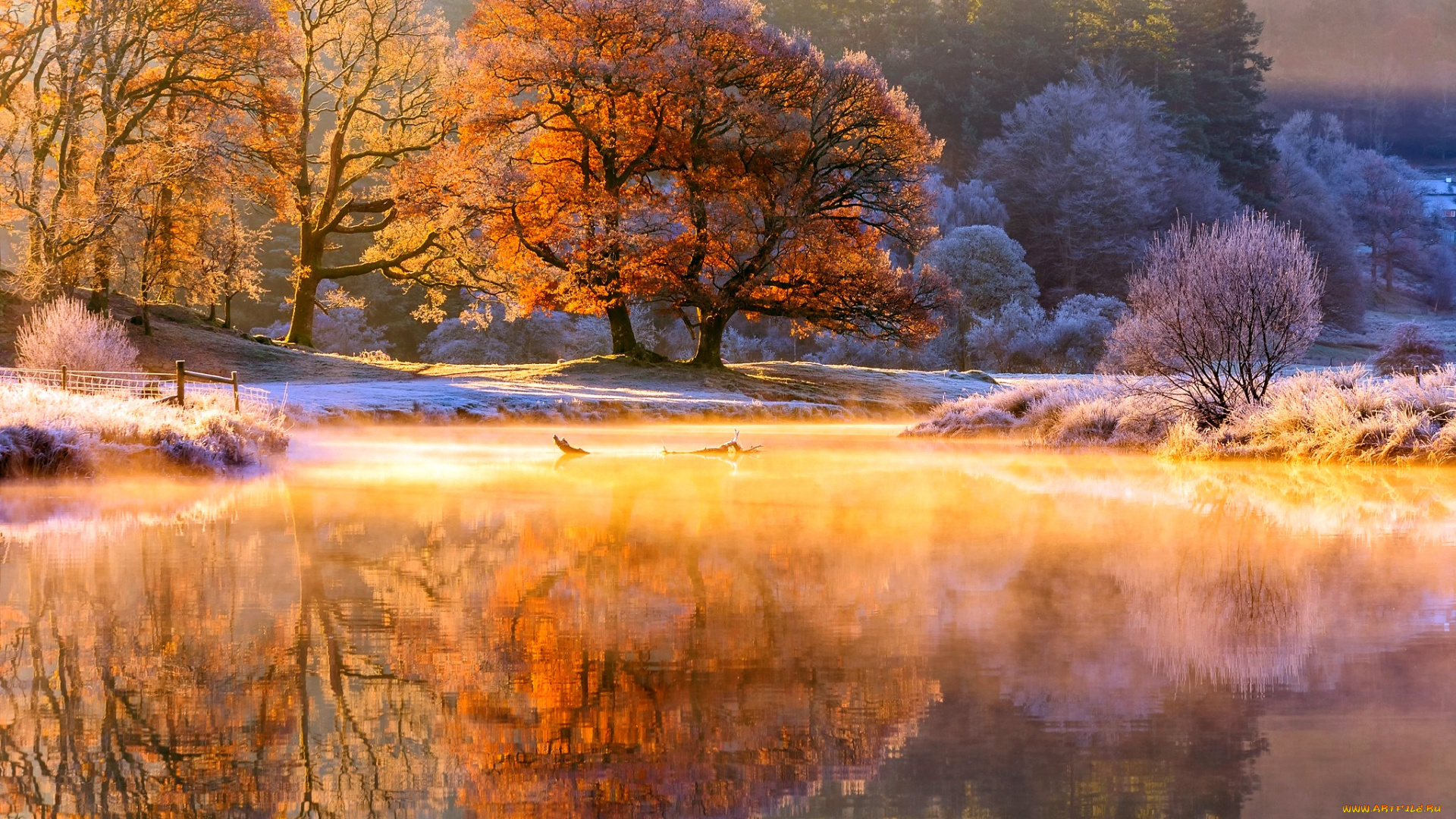 природа, реки, озера, ноябрь, пар, деревья, свет, осень, утро, река, иней