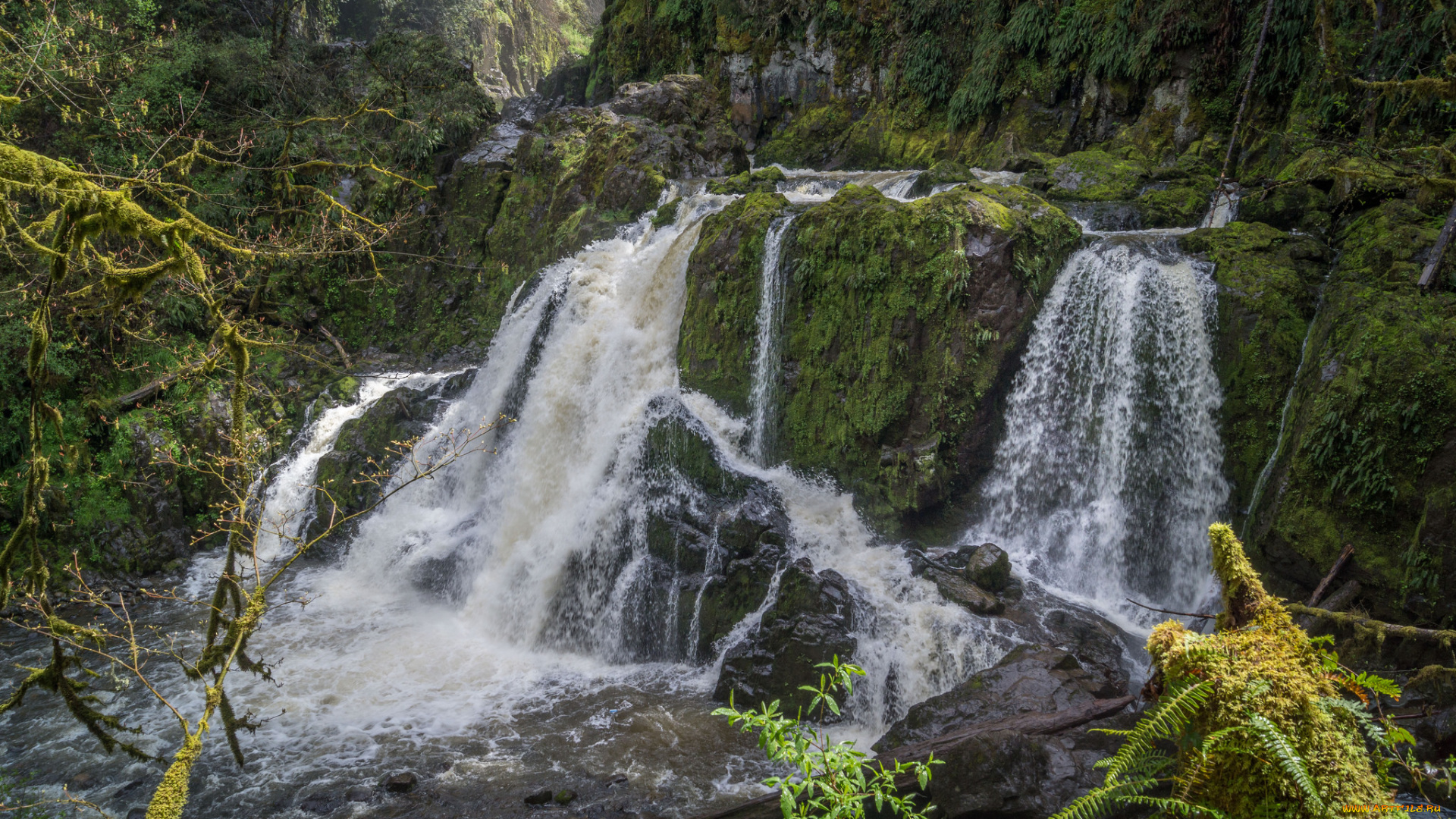 природа, водопады, водопад, река, лес