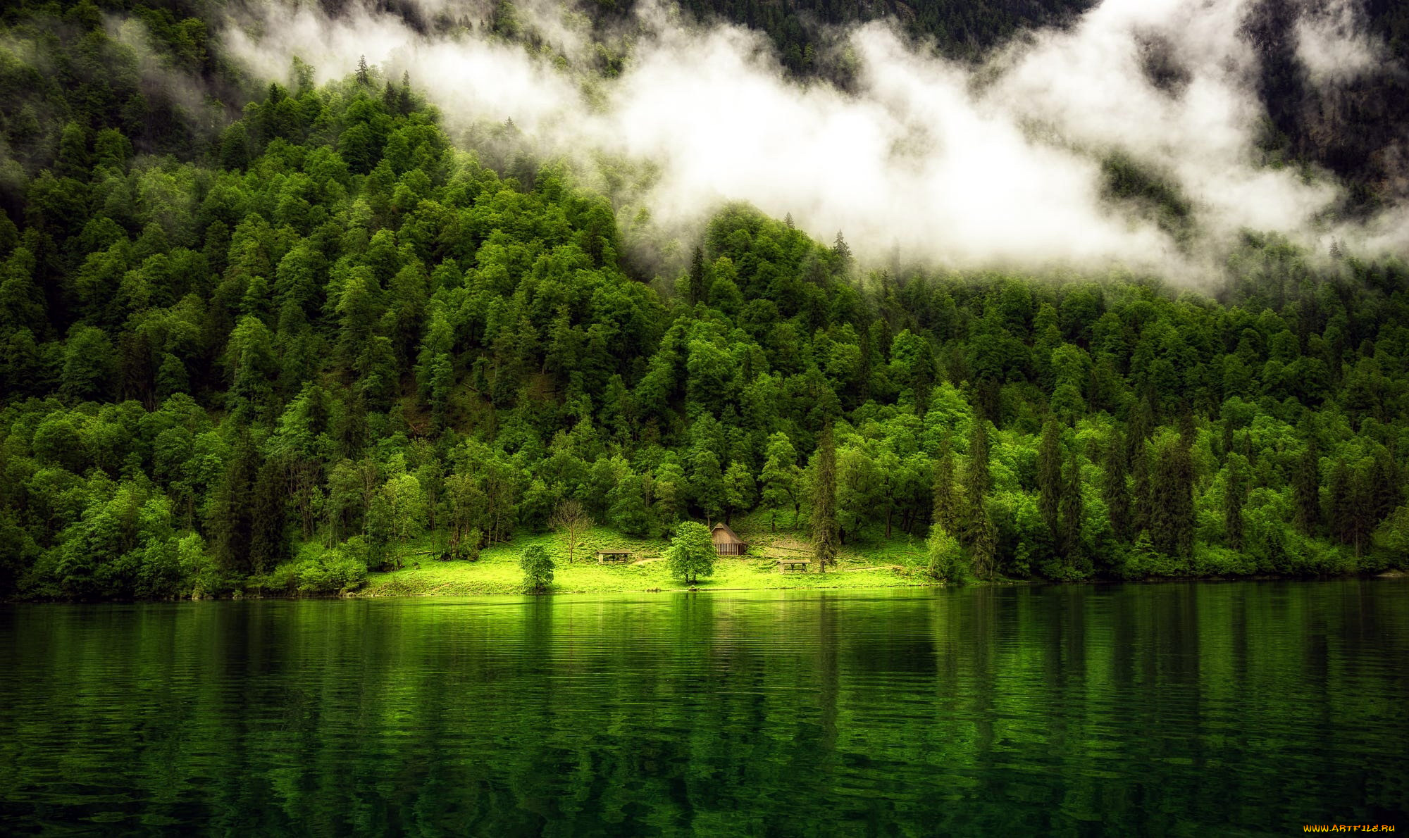 природа, реки, озера, туман, река, отражение