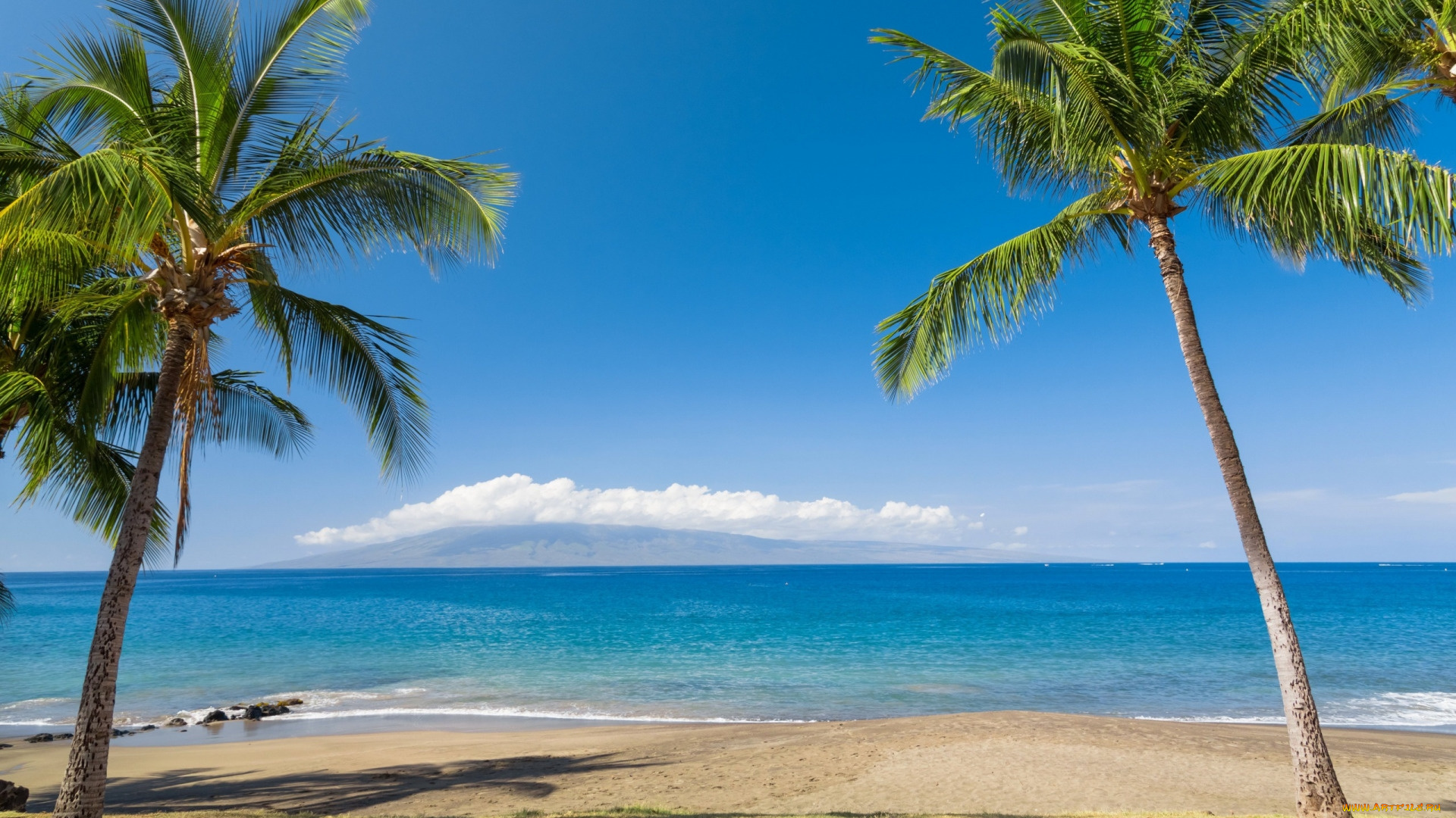 hawaiian, beach, природа, тропики, hawaiian, beach