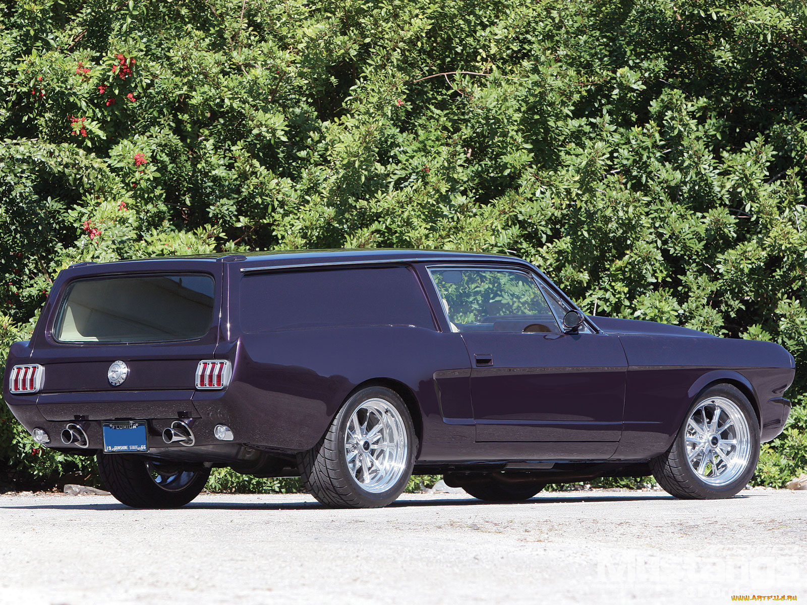 1967, shelby, gt, 500, автомобили, mustang