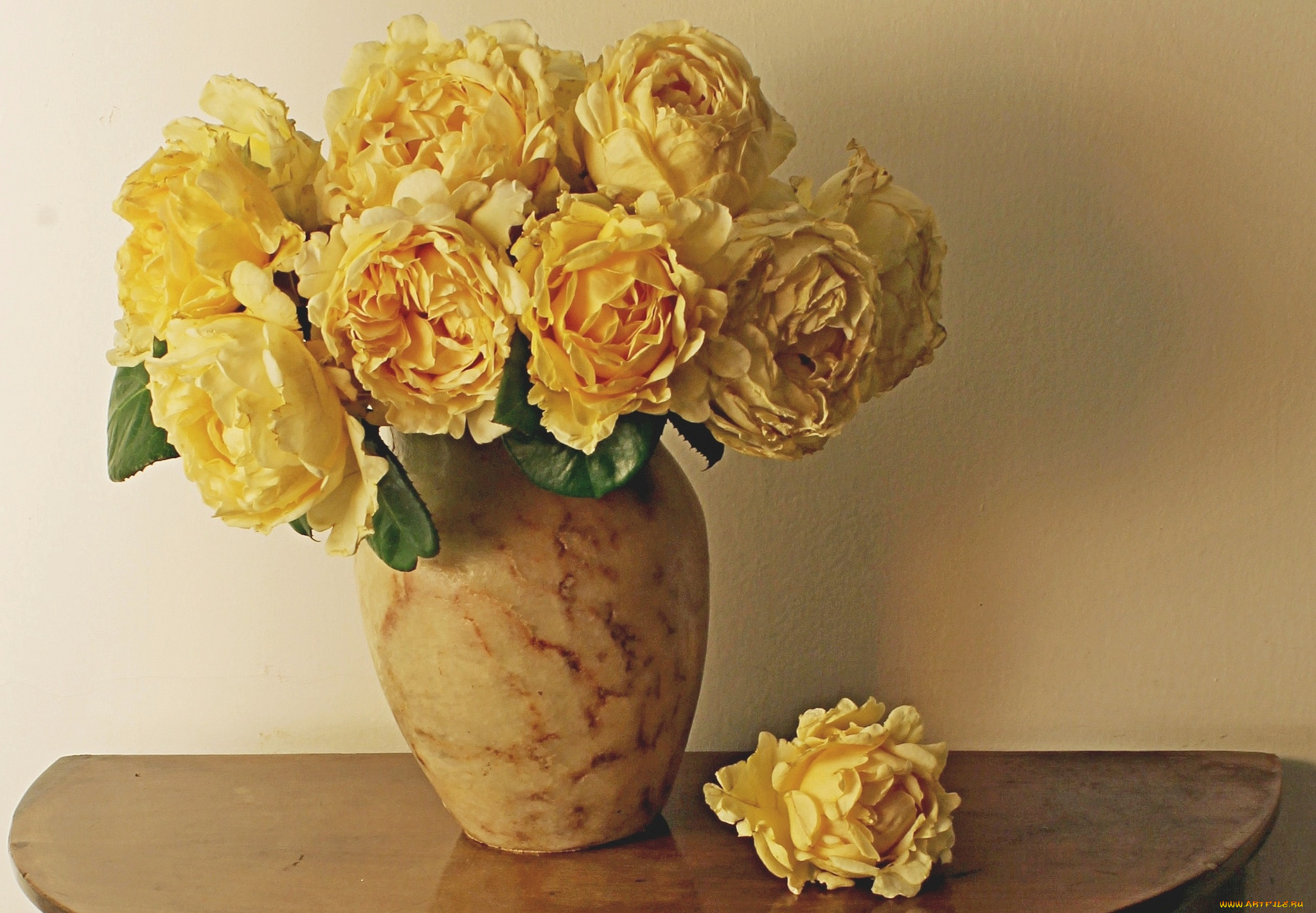 цветы, розы, ваза, желтый