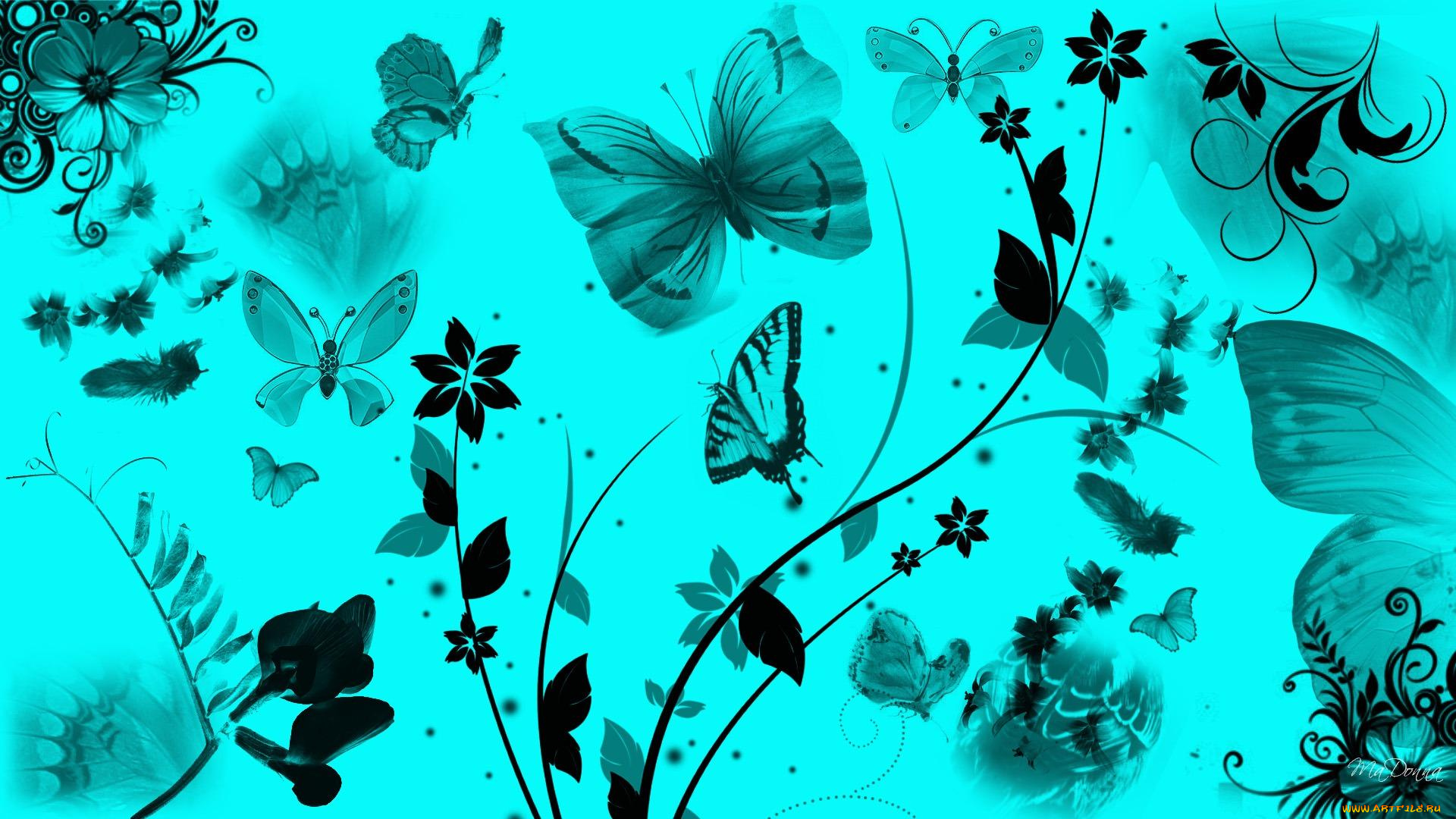 Красивые бабочки заставки