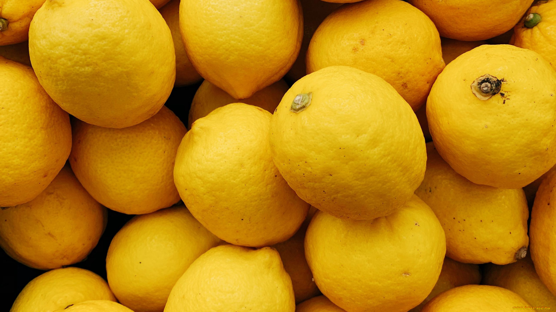 еда, цитрусы, лимон