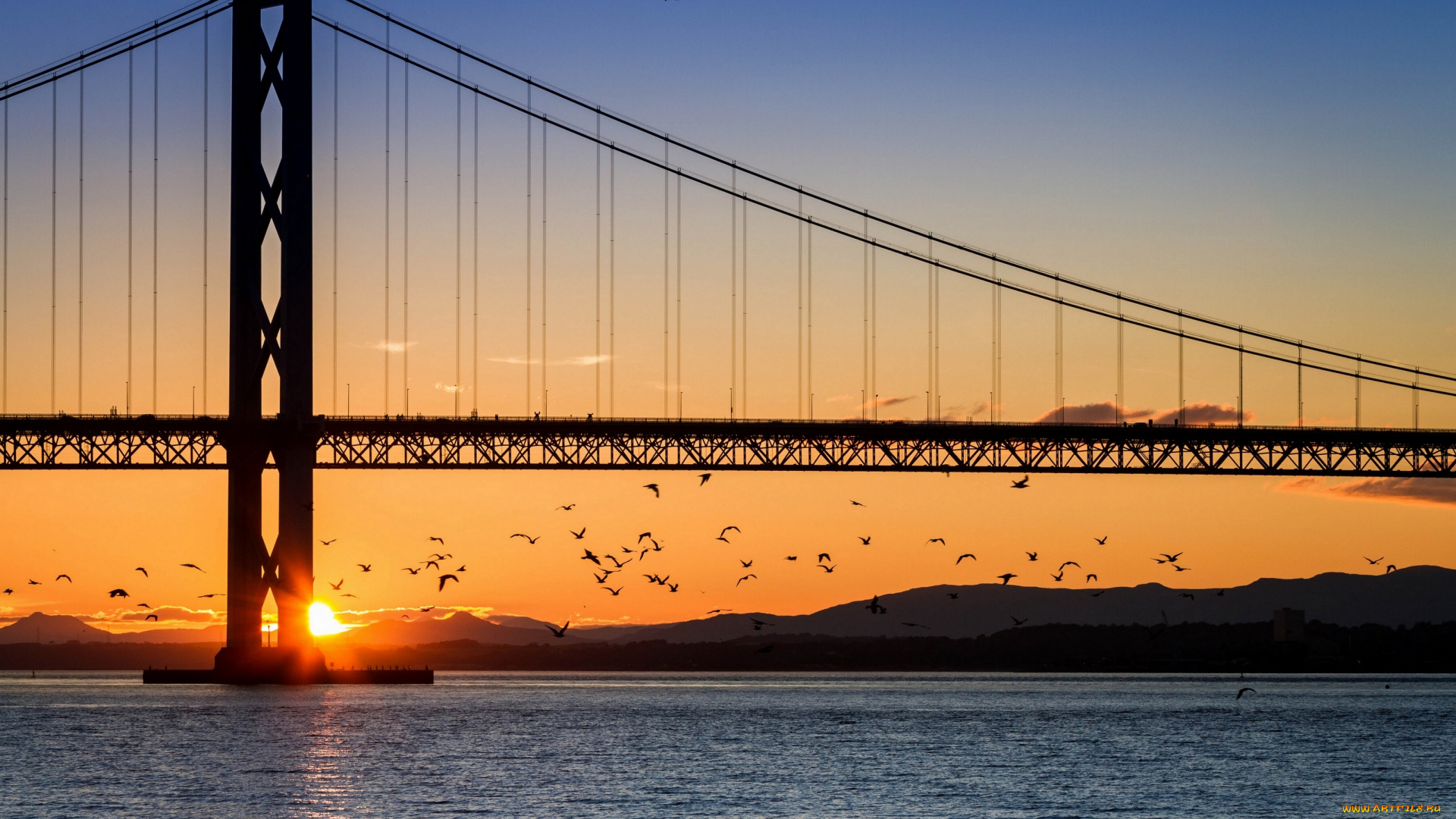 forth, bridge, edinburgh, scotland, природа, восходы, закаты, залив, закат, птицы, шотландия, firth, of, форт-бридж, эдинбург