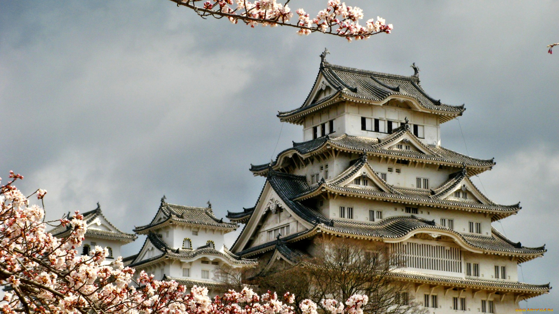 himeji, castle, города, замки, Японии, Япония, замок, цветущая, сакура