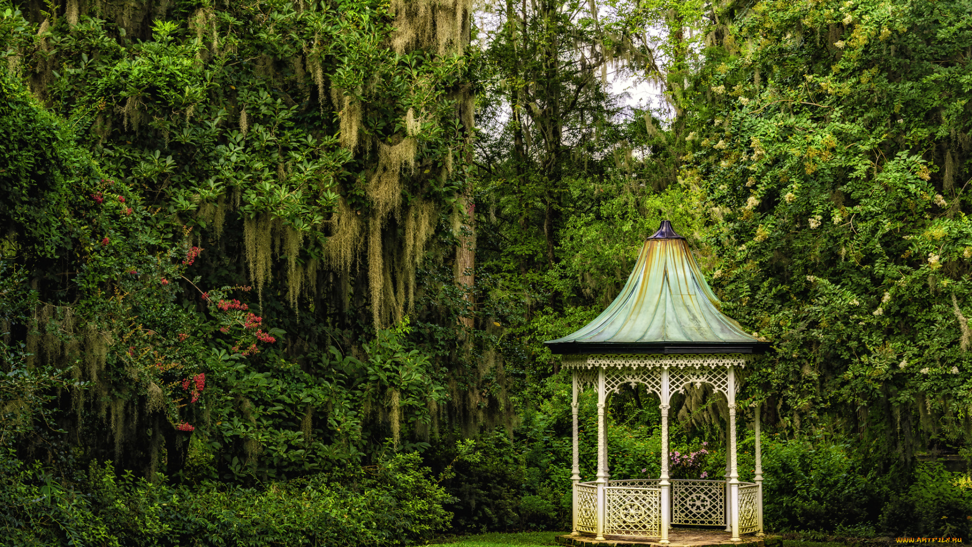 magnolia, plantation, gardens, charleston, south, carolina, природа, парк, южная, каролина, Чарлстон, деревья, беседка, сады, магнолий