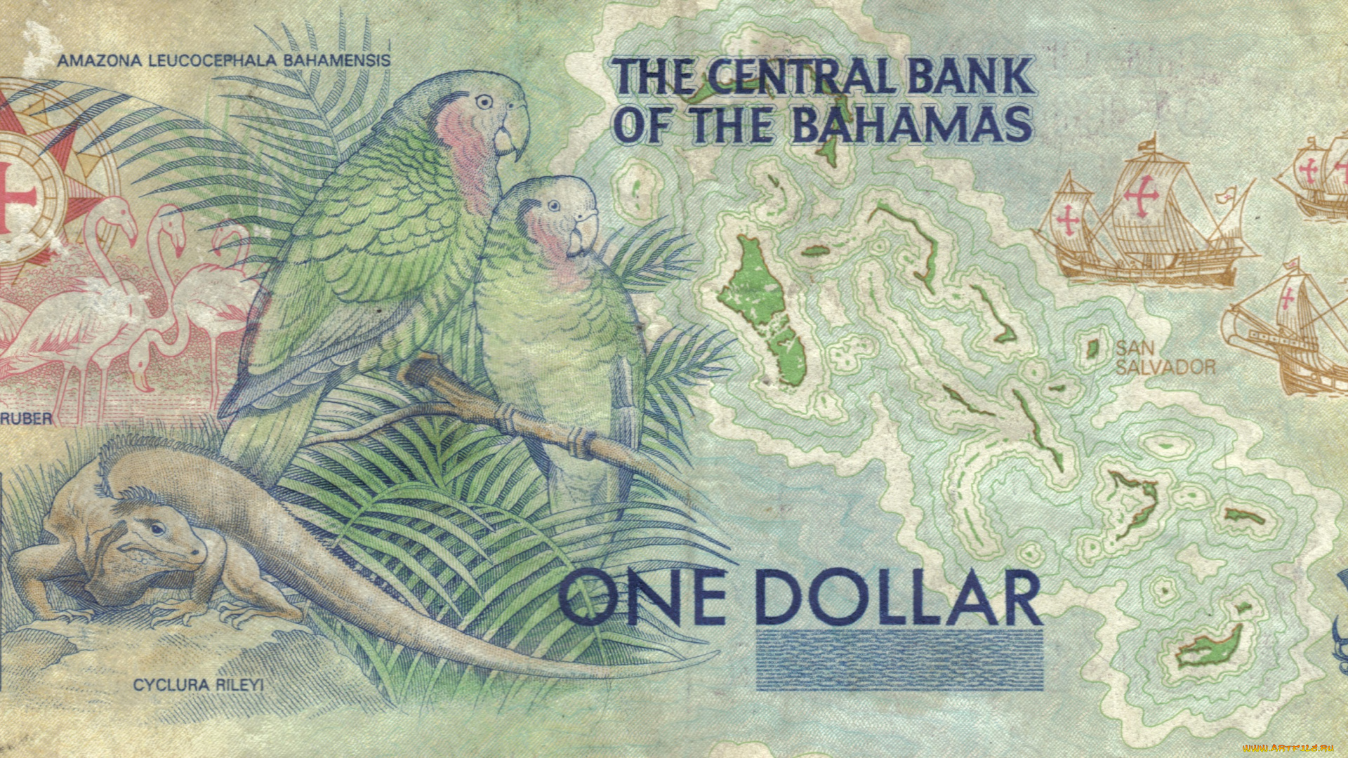 разное, золото, купюры, монеты, багамы, доллары, банкнота, деньги