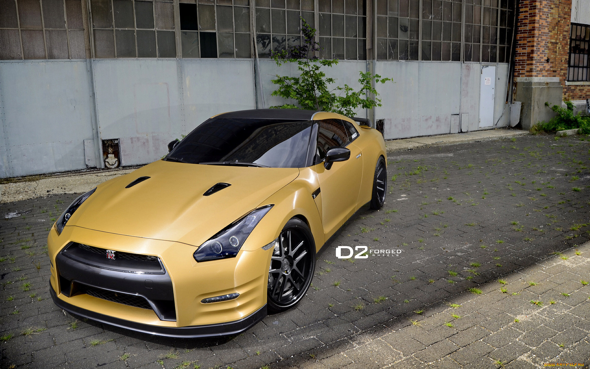 автомобили, nissan, datsun, gt-r, yellow, ares