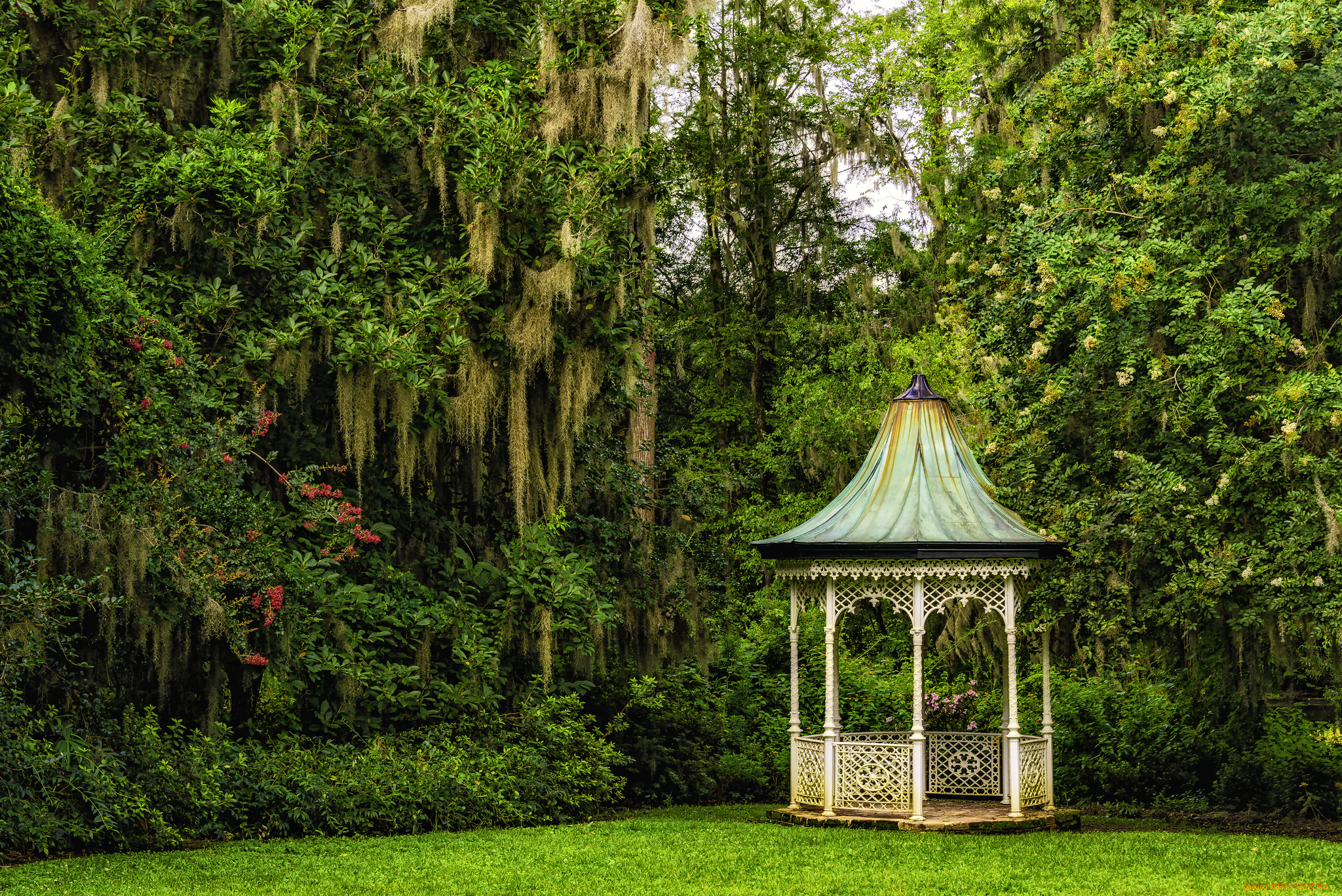 magnolia, plantation, gardens, charleston, south, carolina, природа, парк, южная, каролина, Чарлстон, деревья, беседка, сады, магнолий