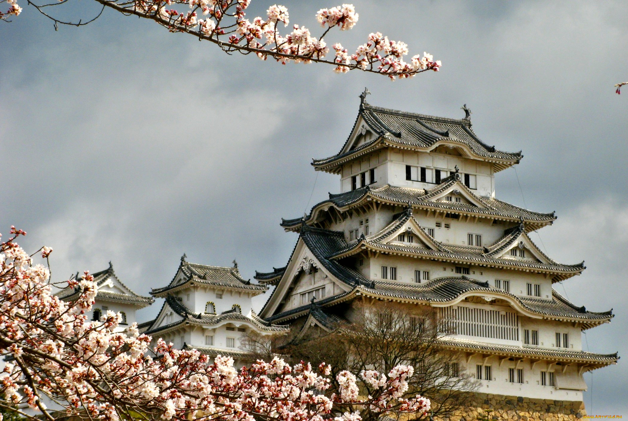 himeji, castle, города, замки, Японии, Япония, замок, цветущая, сакура
