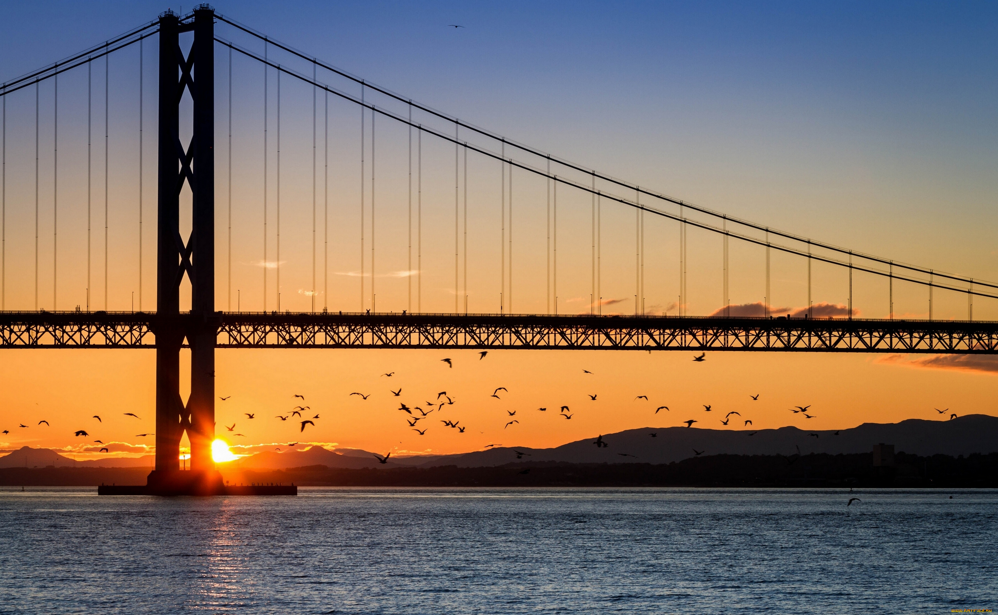 forth, bridge, edinburgh, scotland, природа, восходы, закаты, залив, закат, птицы, шотландия, firth, of, форт-бридж, эдинбург