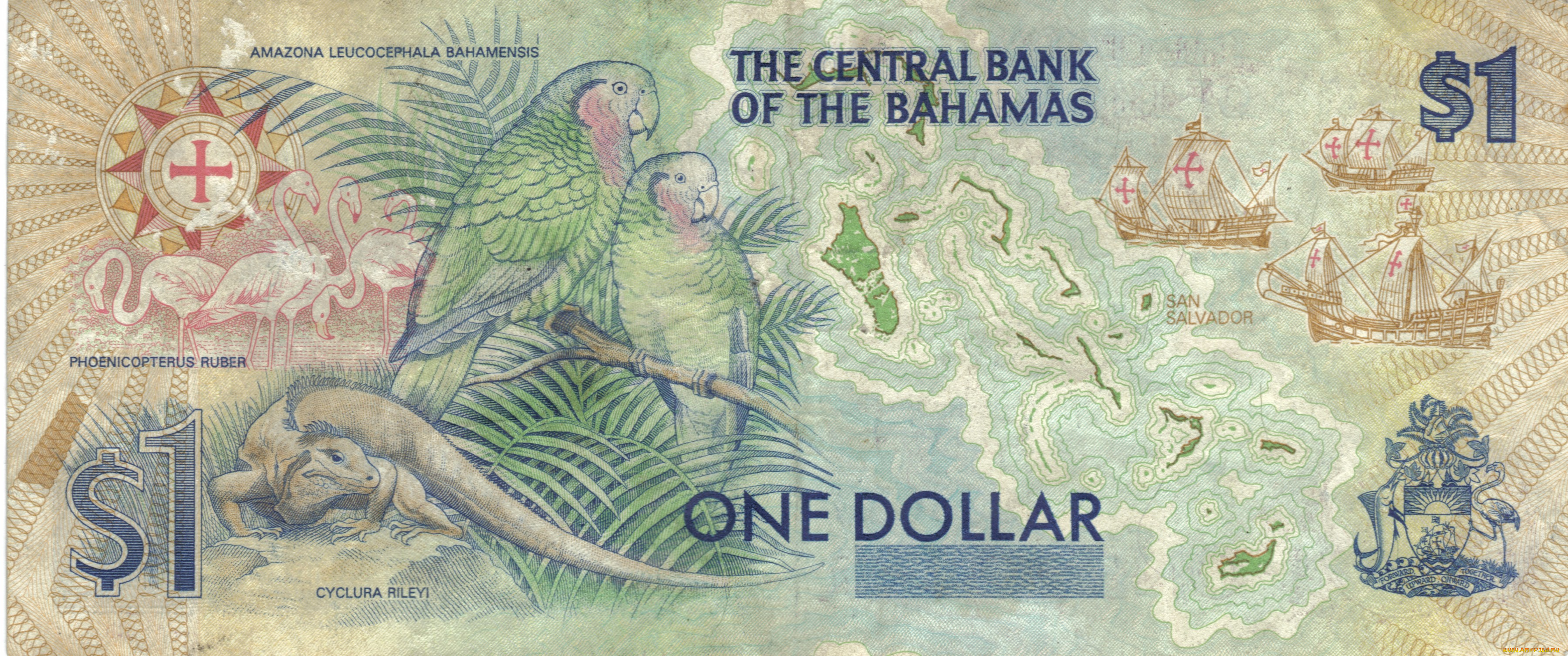 разное, золото, купюры, монеты, багамы, доллары, банкнота, деньги