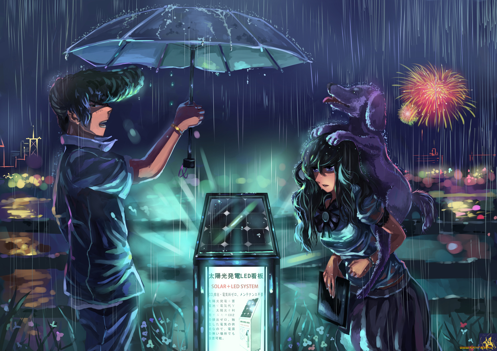 аниме, touhou, трава, дождь, девушка, парень, ryuusei, seinen, арт, фейерверк, цветы, собака, зонт