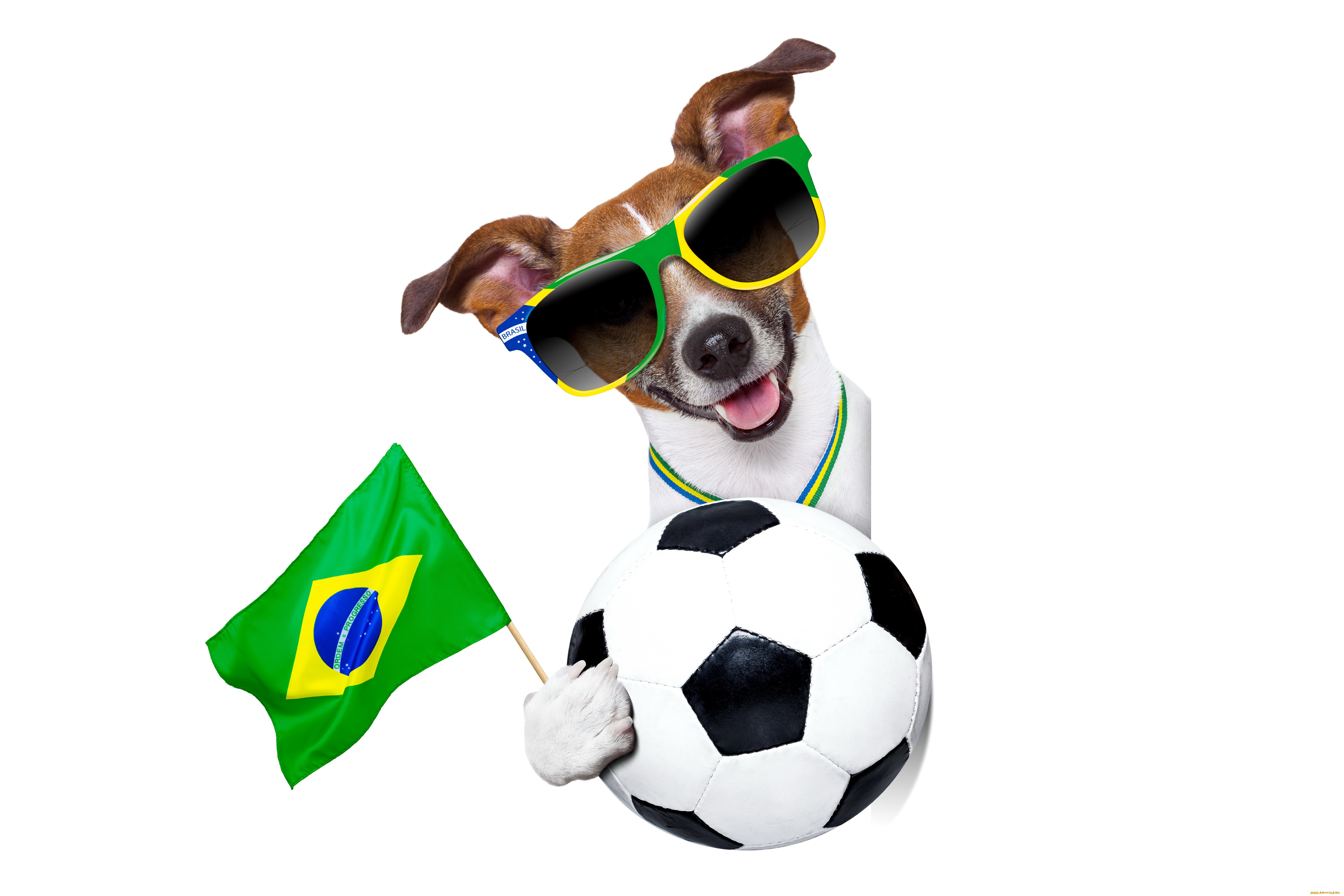 животные, собаки, football, 2014, world, cup, fifa, brasil, funny, собака, очки, cool, dog, logo, flag