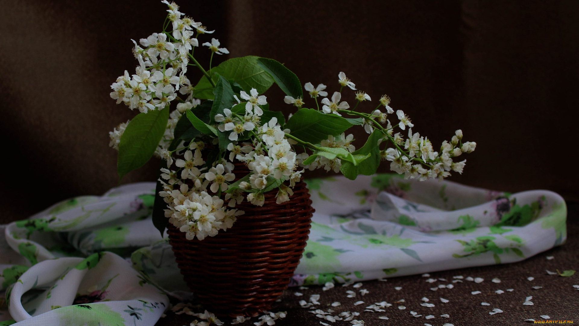 цветы, Черемуха, букетик, весна, черемуха