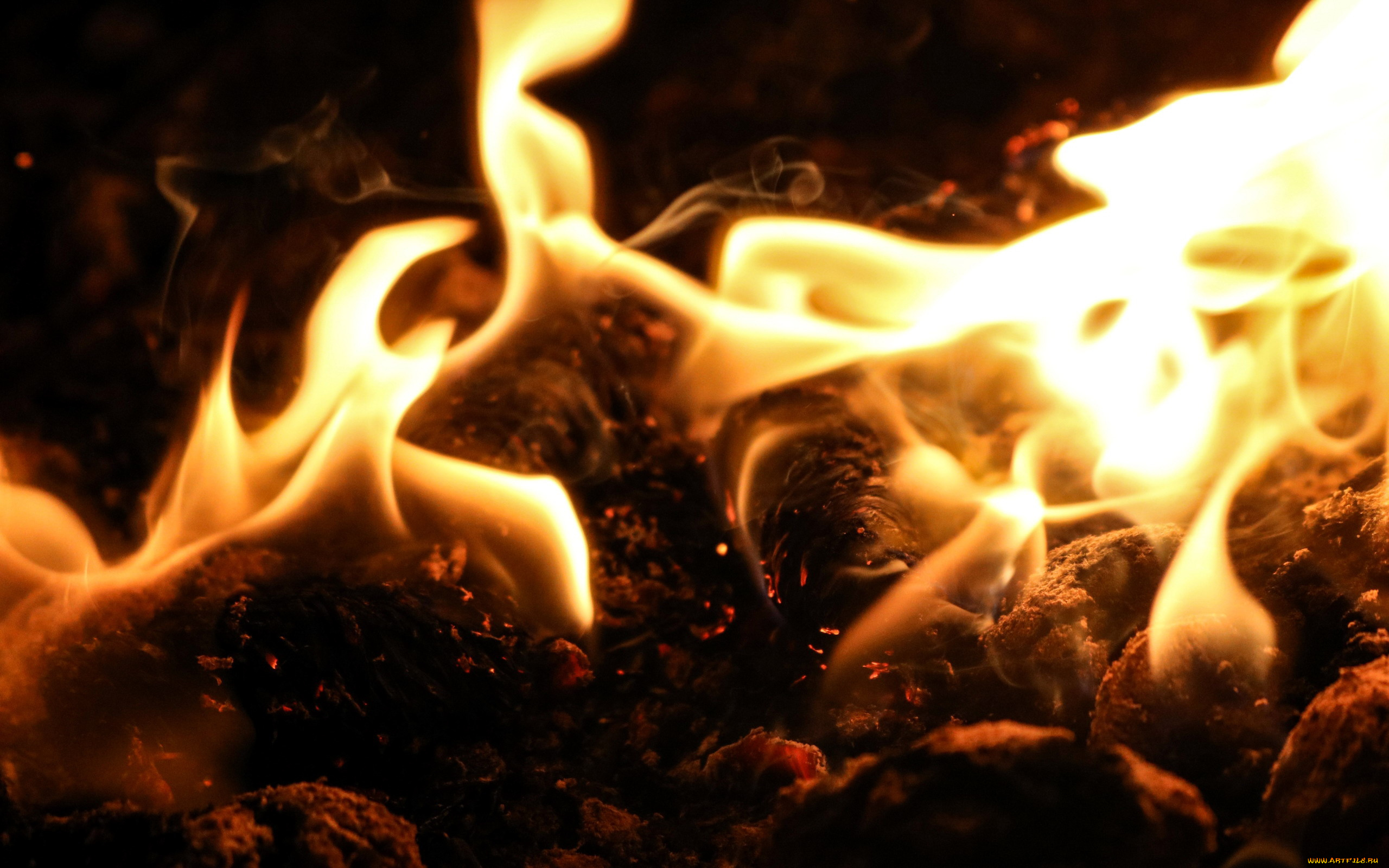 природа, огонь, угли, пламя