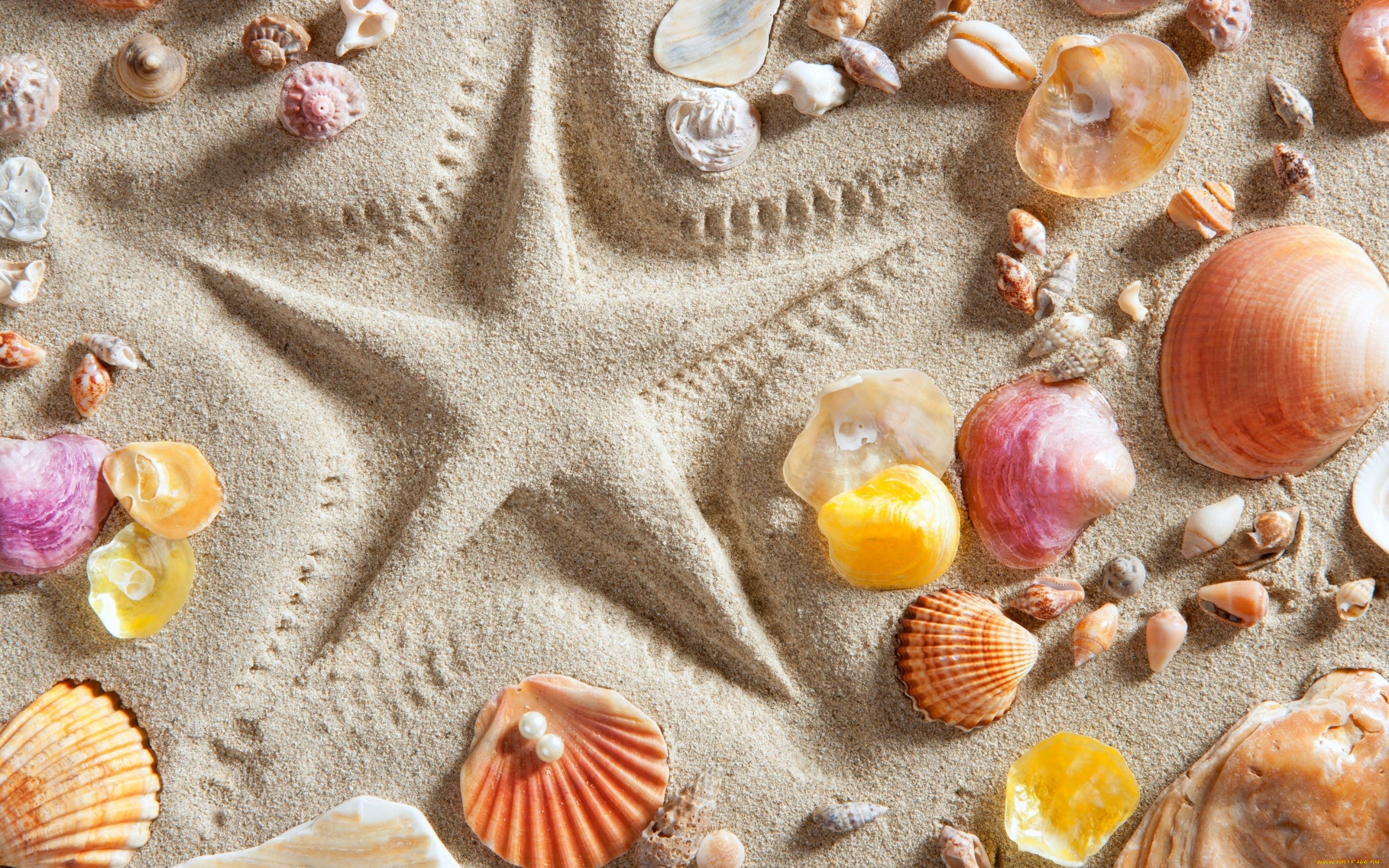 разное, ракушки, , кораллы, , декоративные, и, spa-камни, песок, звезда