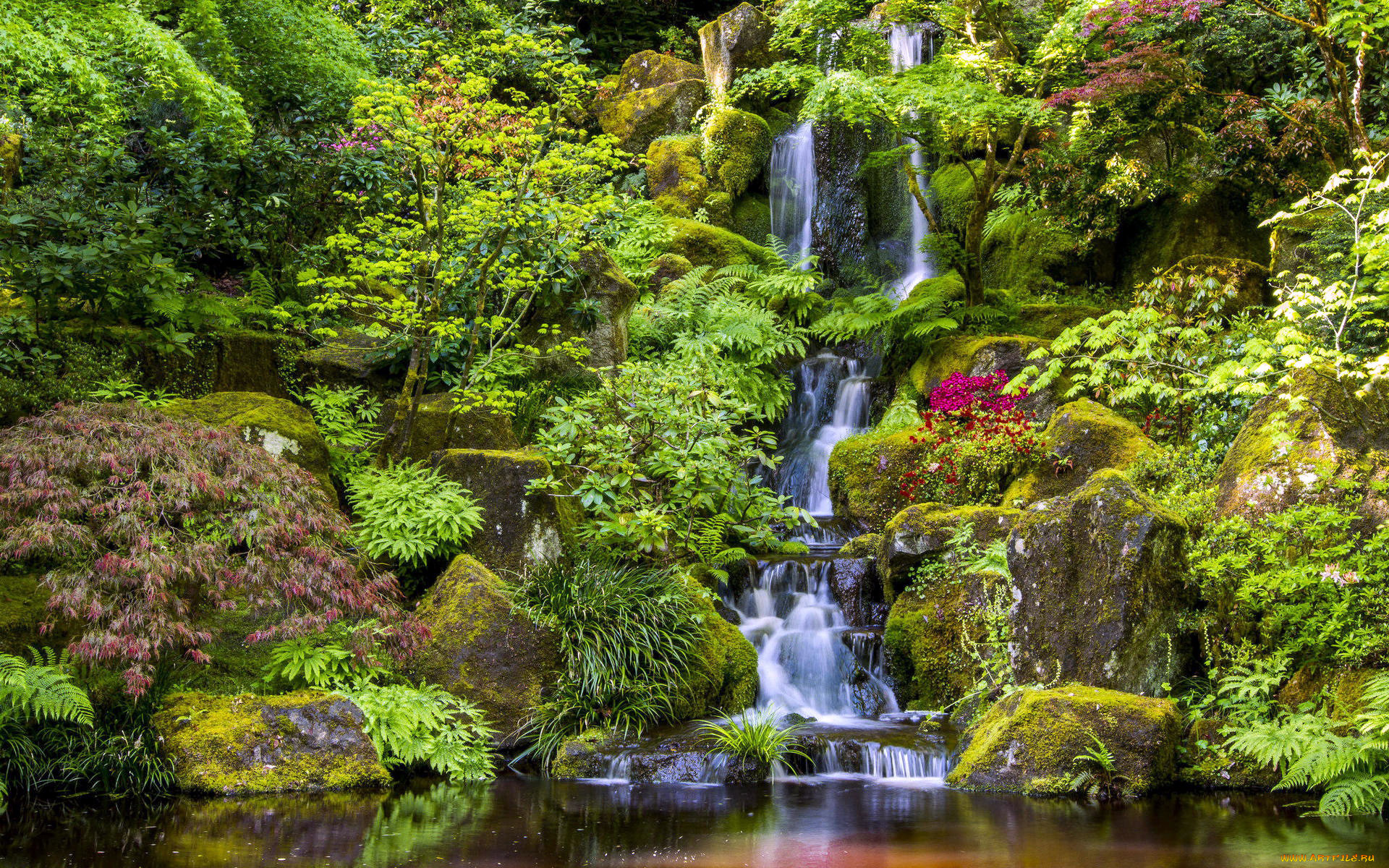 japanese, garden, portland, maine, usa, природа, парк, japanese, garden