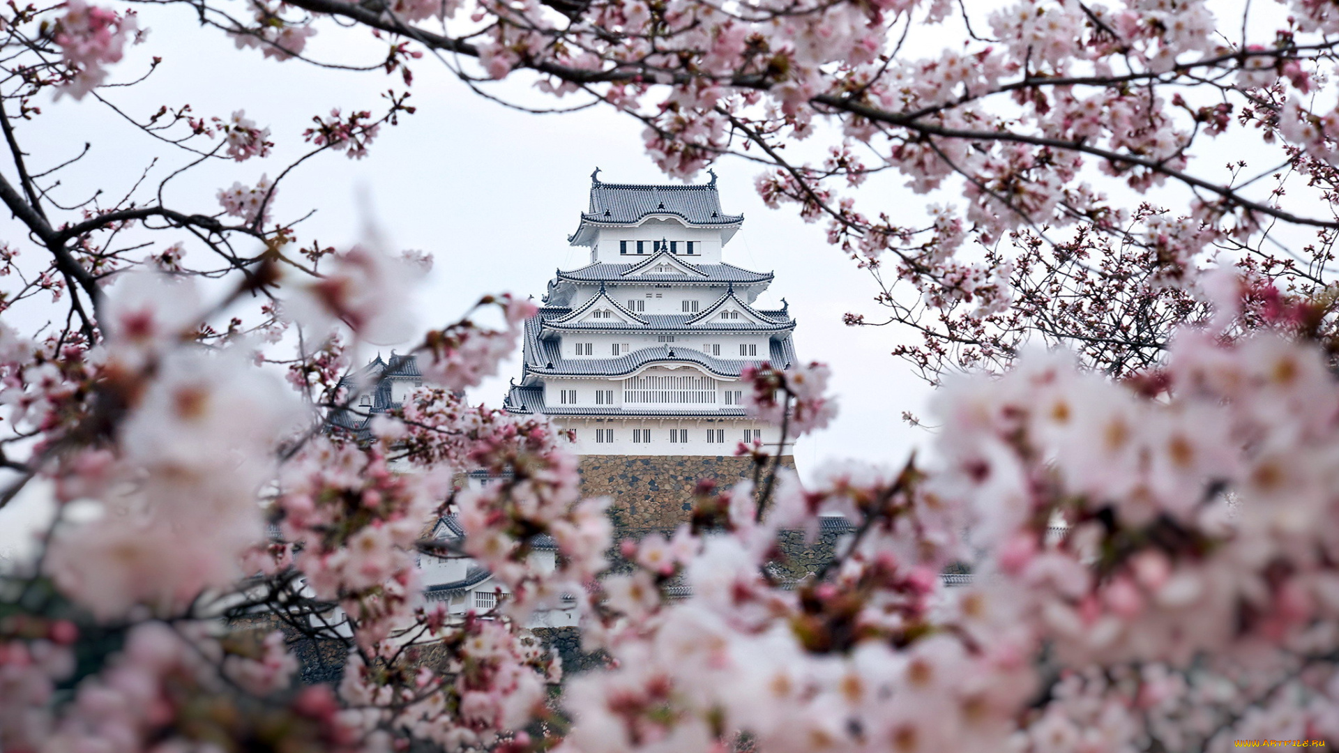 himeji, castle, hyogo, japan, города, замки, японии, himeji, castle