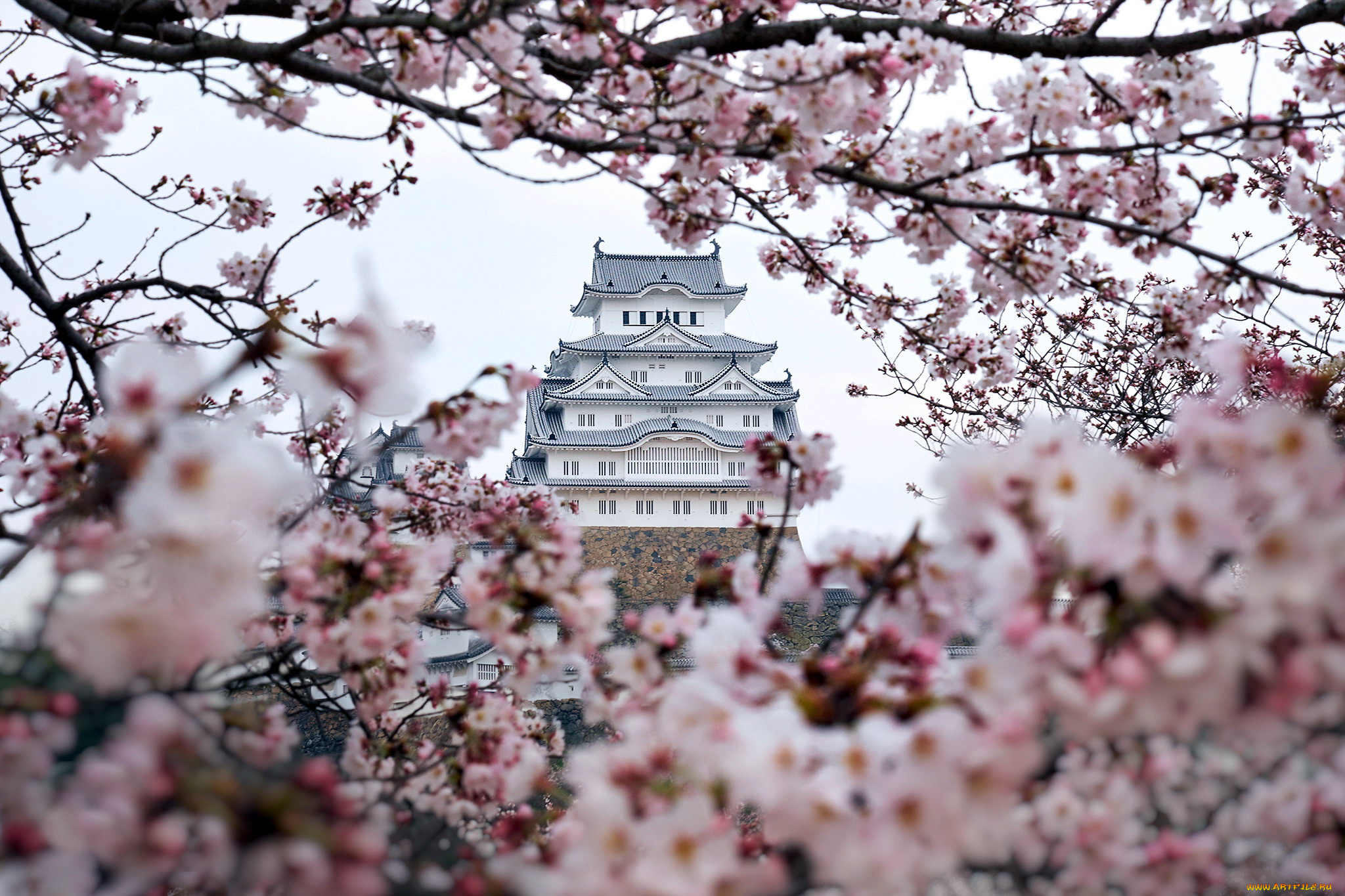 himeji, castle, hyogo, japan, города, замки, японии, himeji, castle