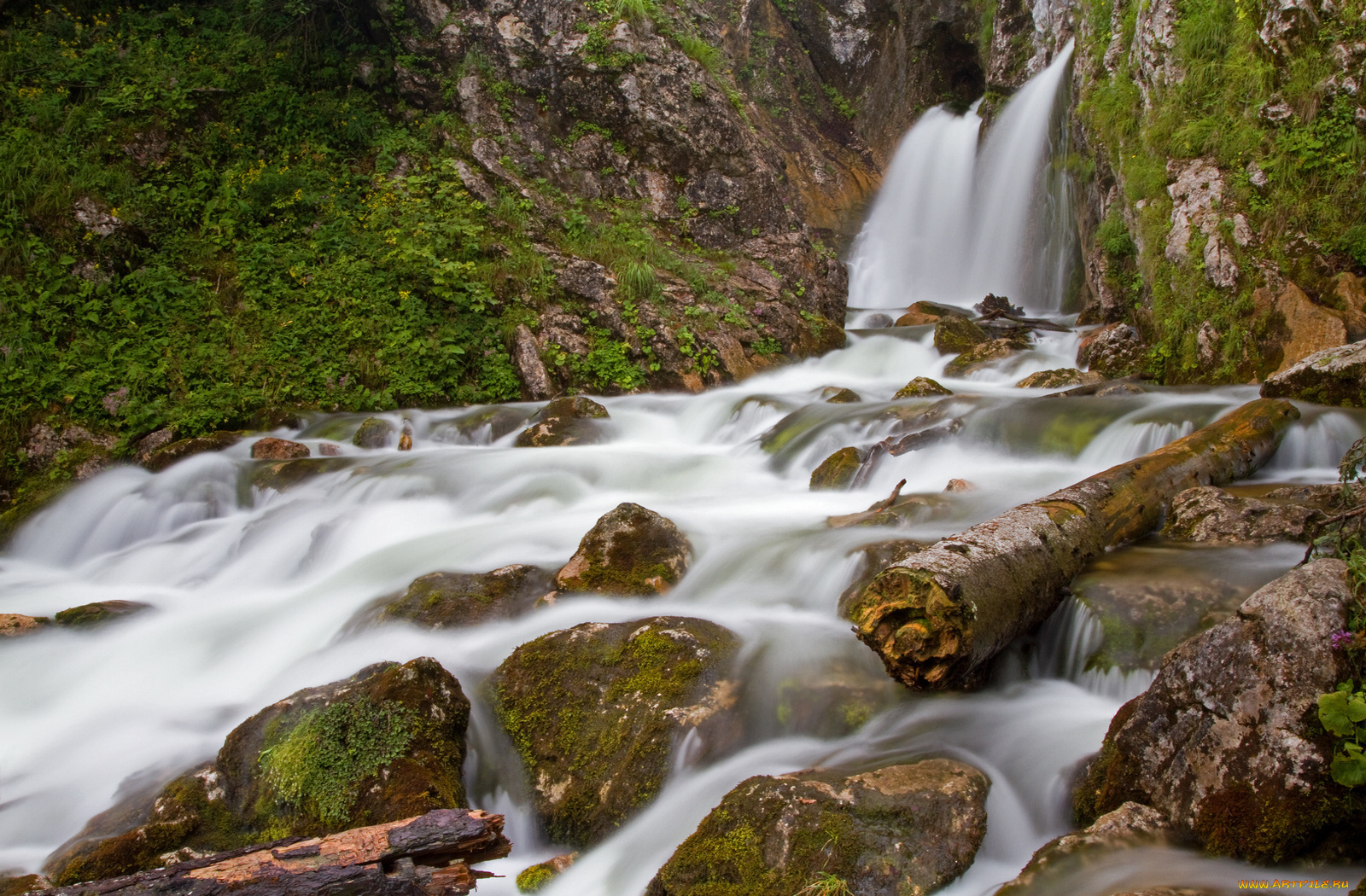 природа, реки, озера, камни, бревно, вода