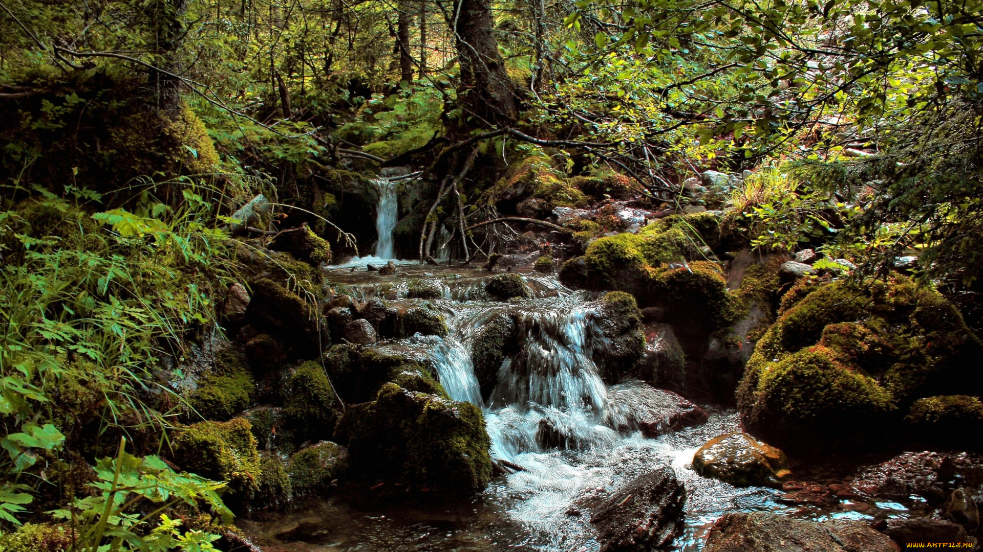 природа, реки, озера, камни, вода, лес