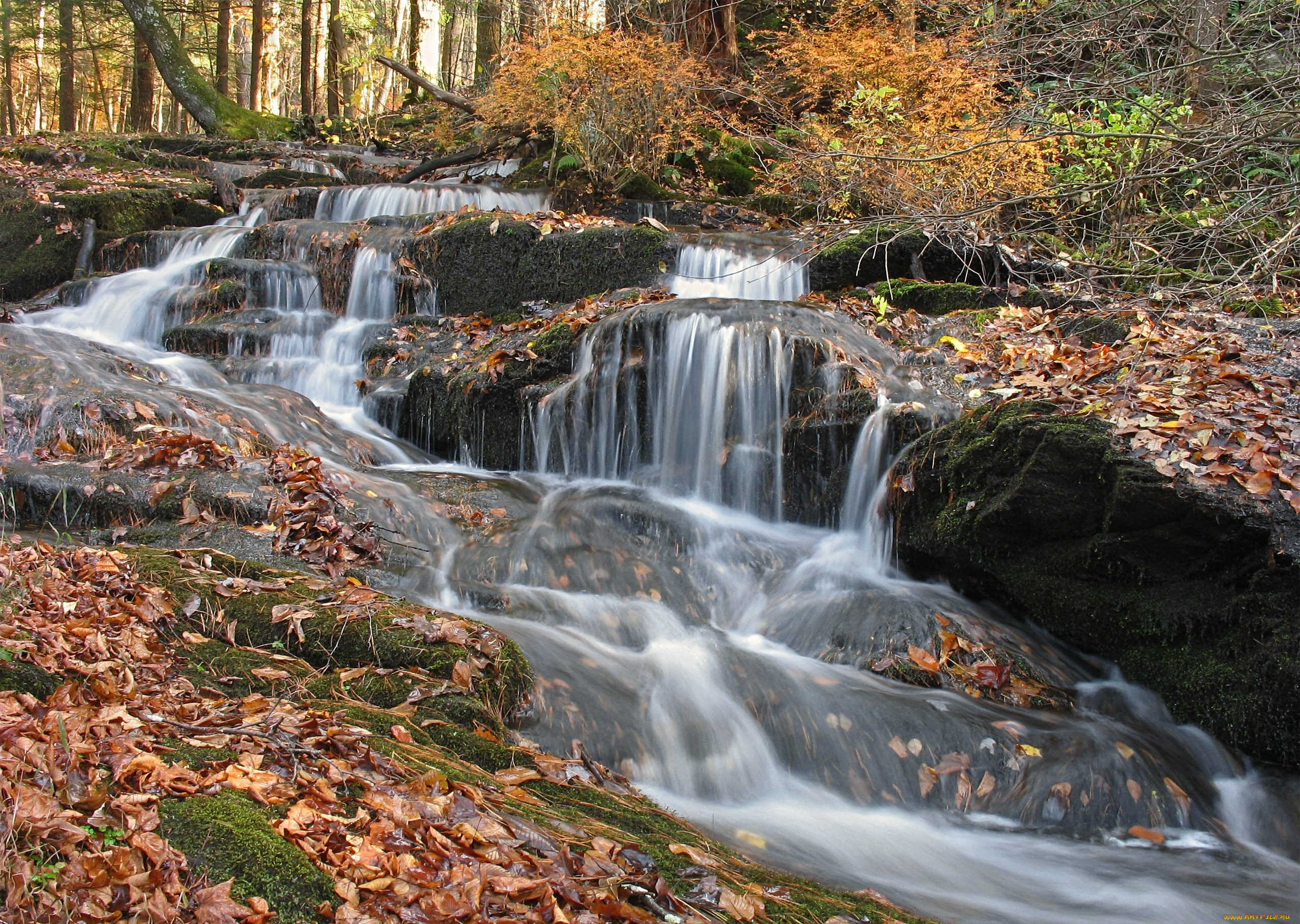 природа, водопады, осень, листья, поток, вода, камни