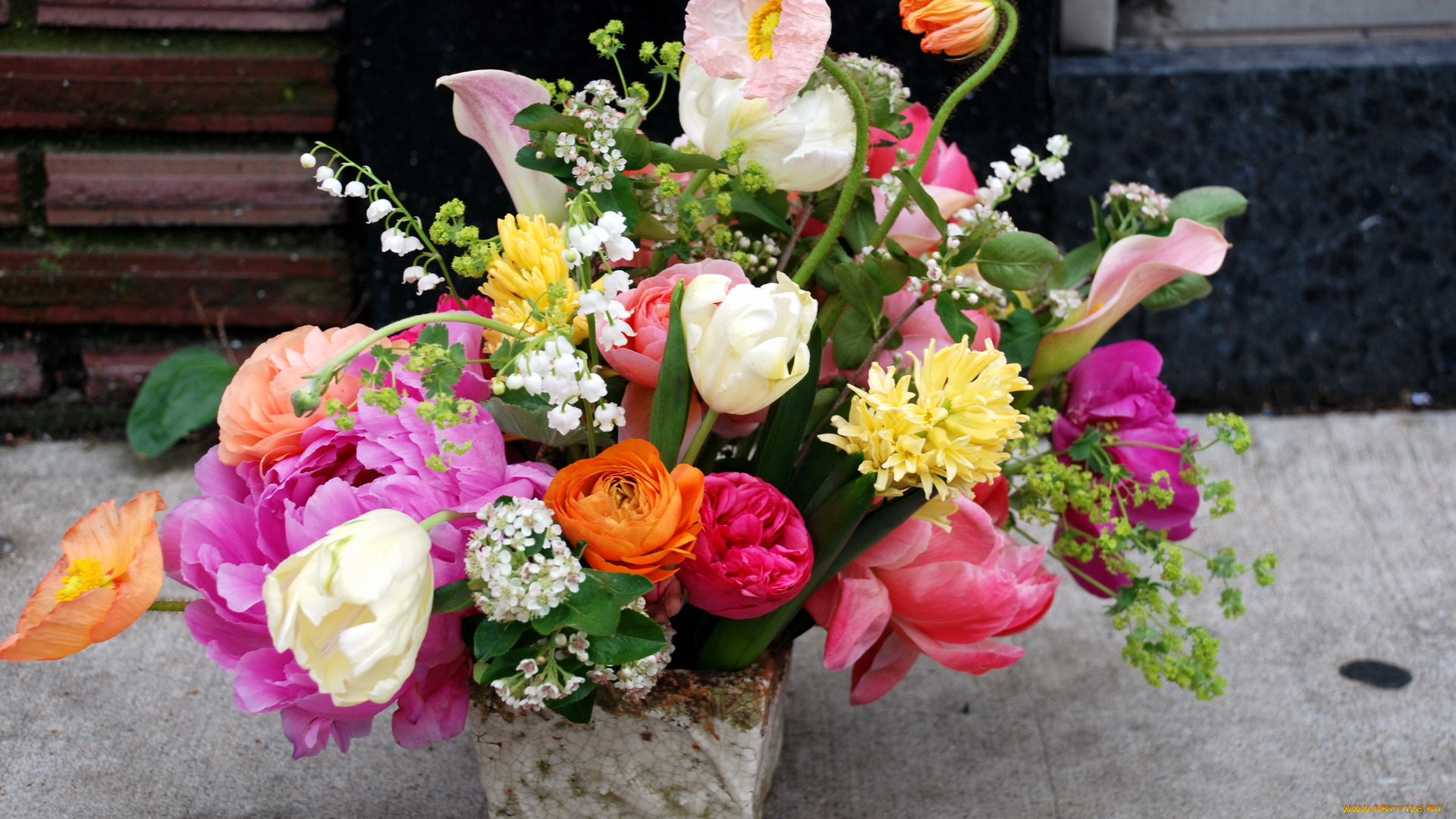 цветы, букеты, композиции, ландыши, пионы, тюльпаны, букет, маки