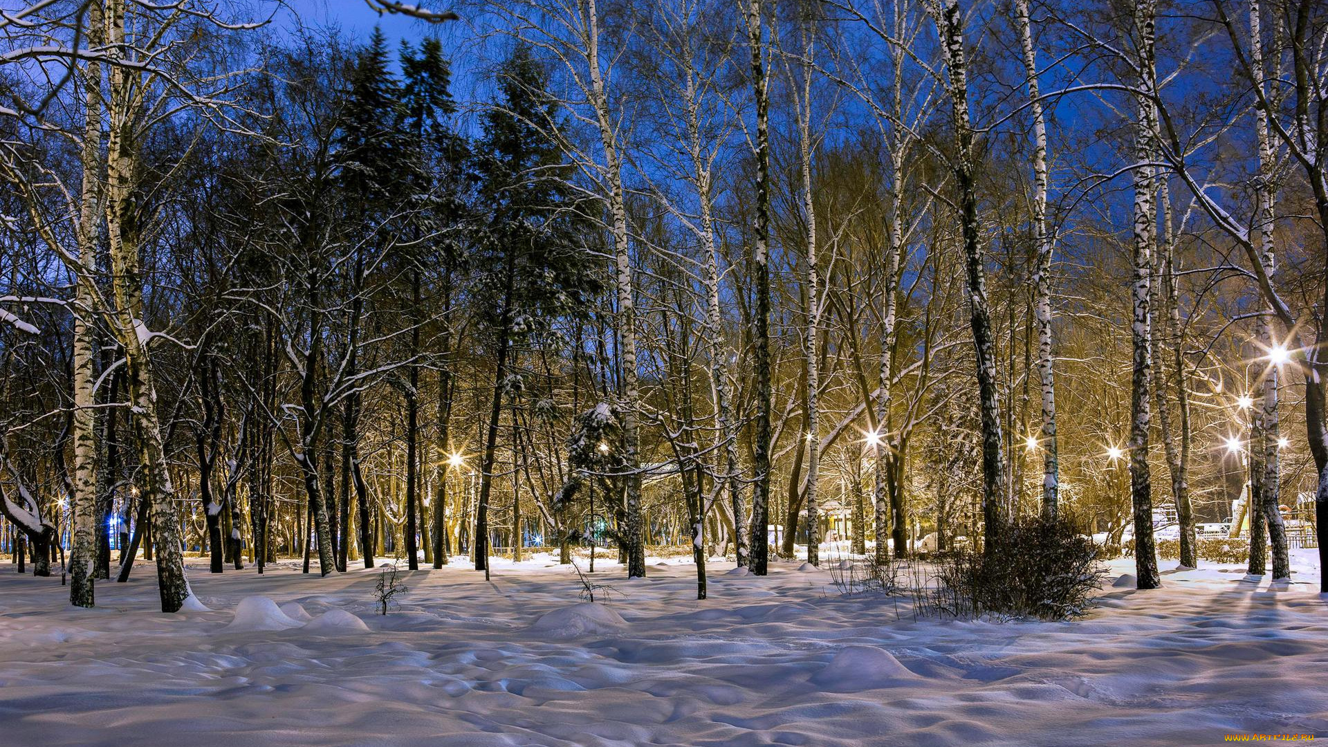 природа, парк, зима, пейзаж, k, закат, деревья