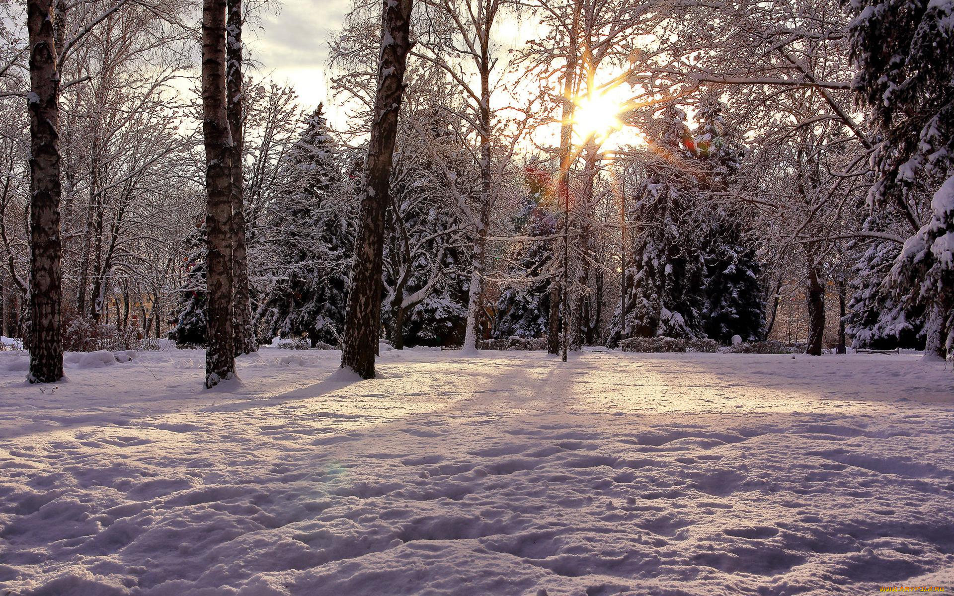 природа, зима, пейзаж, k, закат, деревья