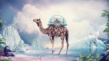 Картинка 3д графика fantasy фантазия верблюд