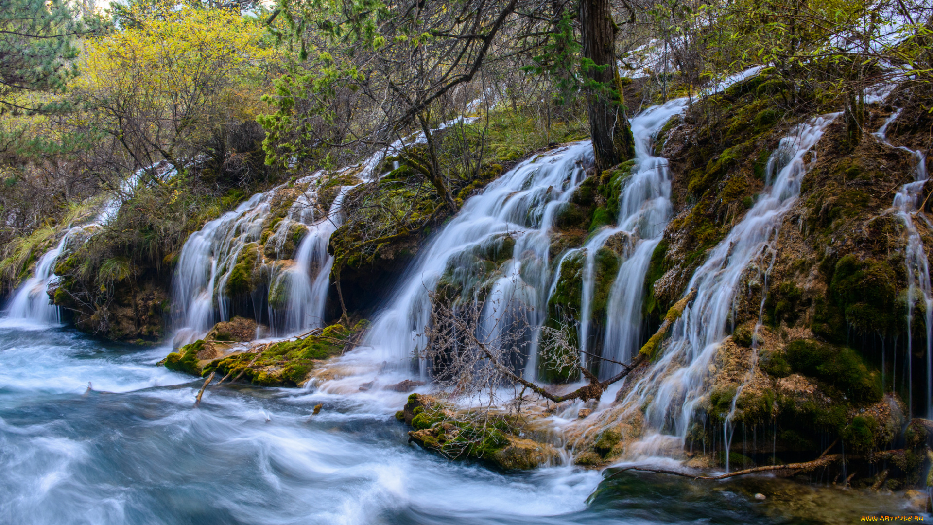 природа, водопады, лес, река, водопад