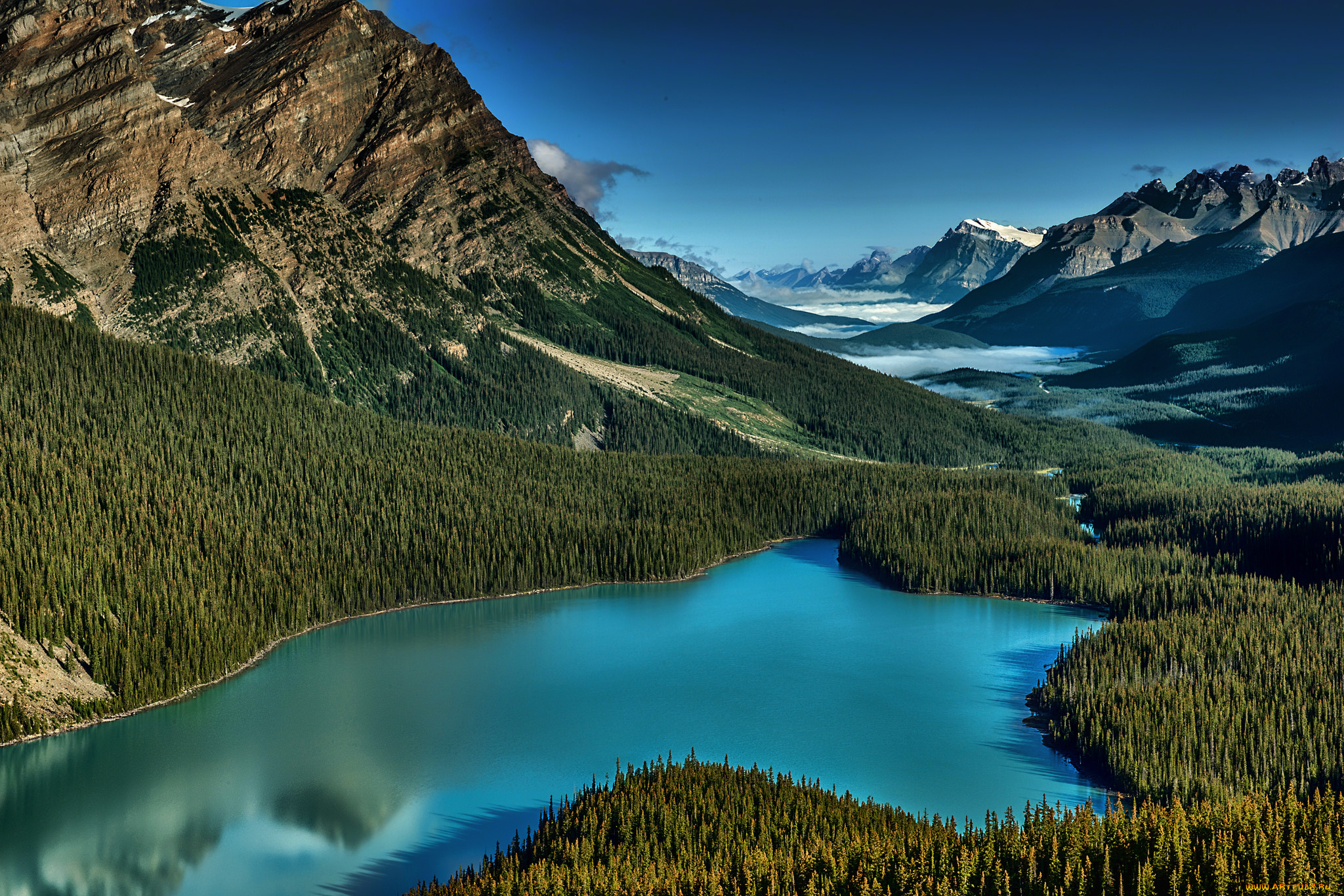 Peyto Lake, Banff National Park, Alberta бесплатно