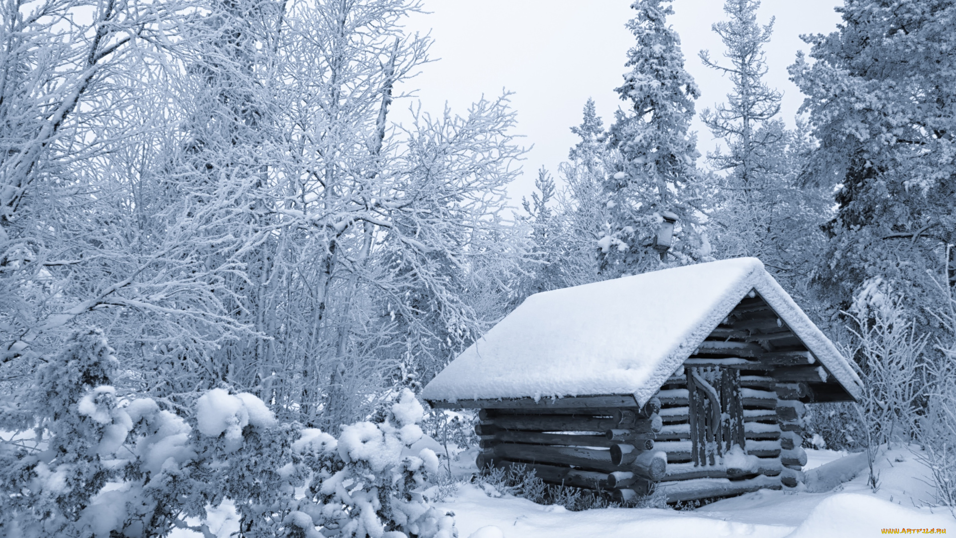 природа, зима, лес, избушка, деревья, финляндия, хижина, снег