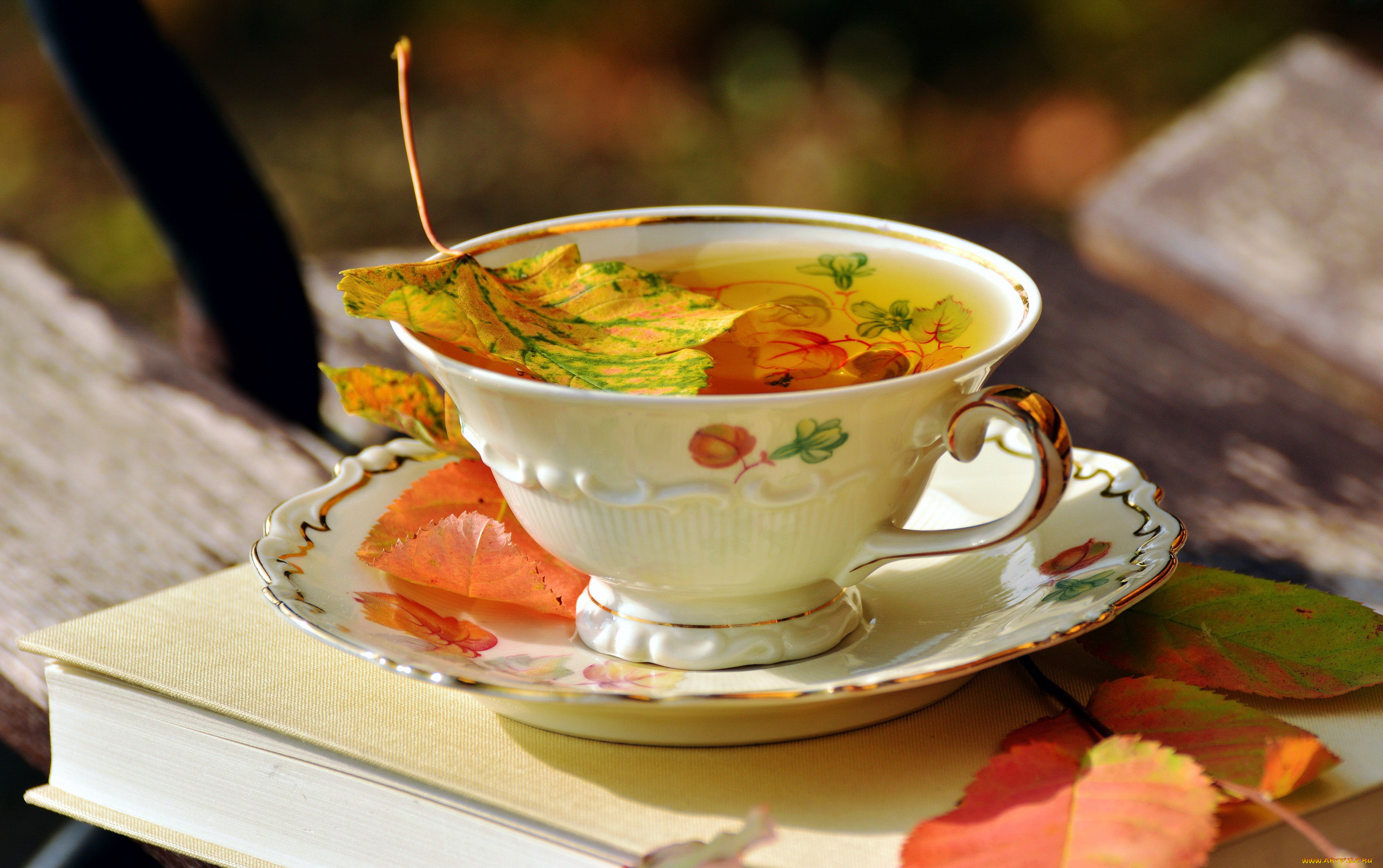 еда, напитки, , Чай, осень, листья, блюдце, чашка
