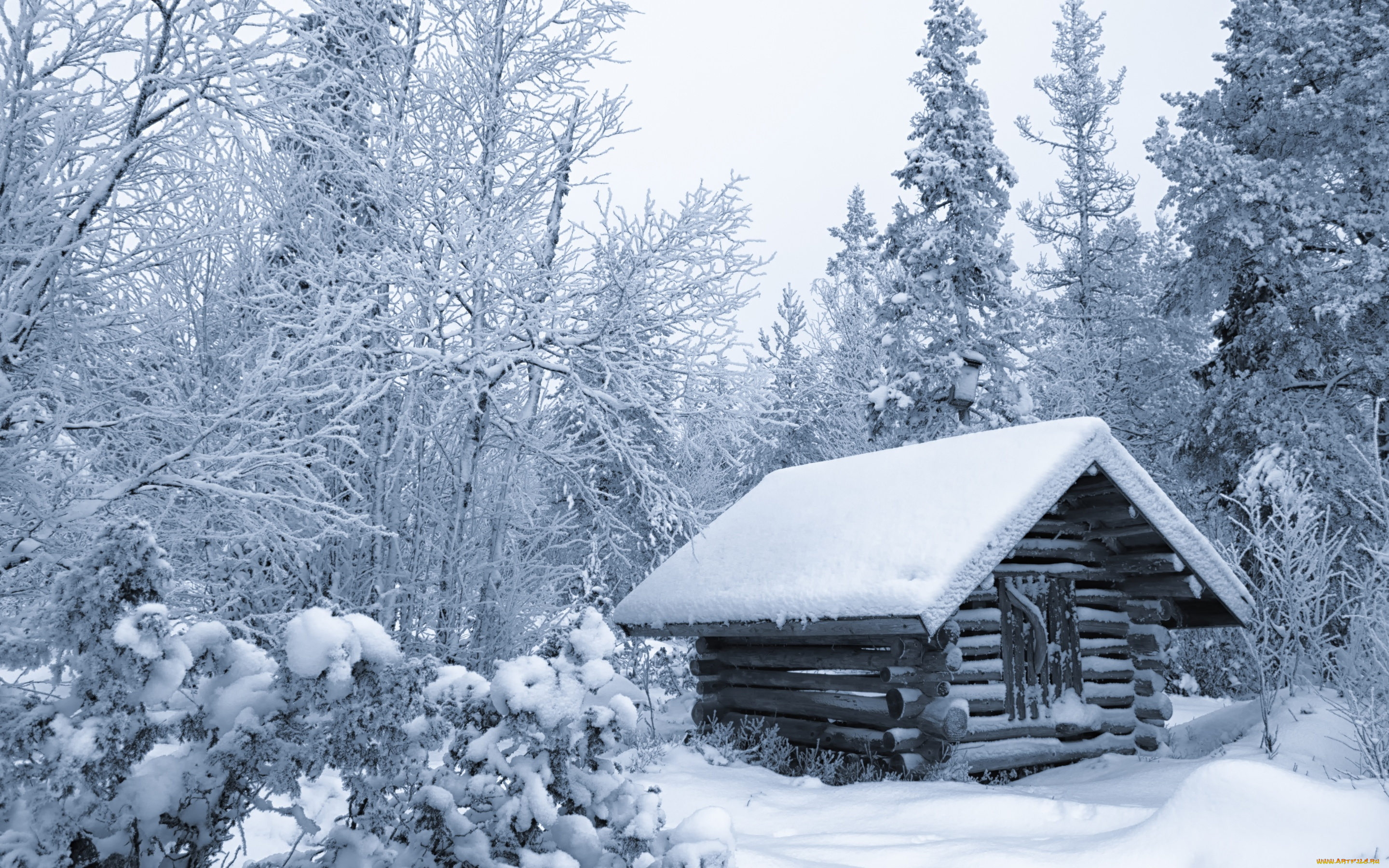 природа, зима, лес, избушка, деревья, финляндия, хижина, снег