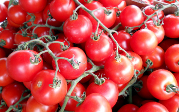 Картинка еда помидоры много черри томаты