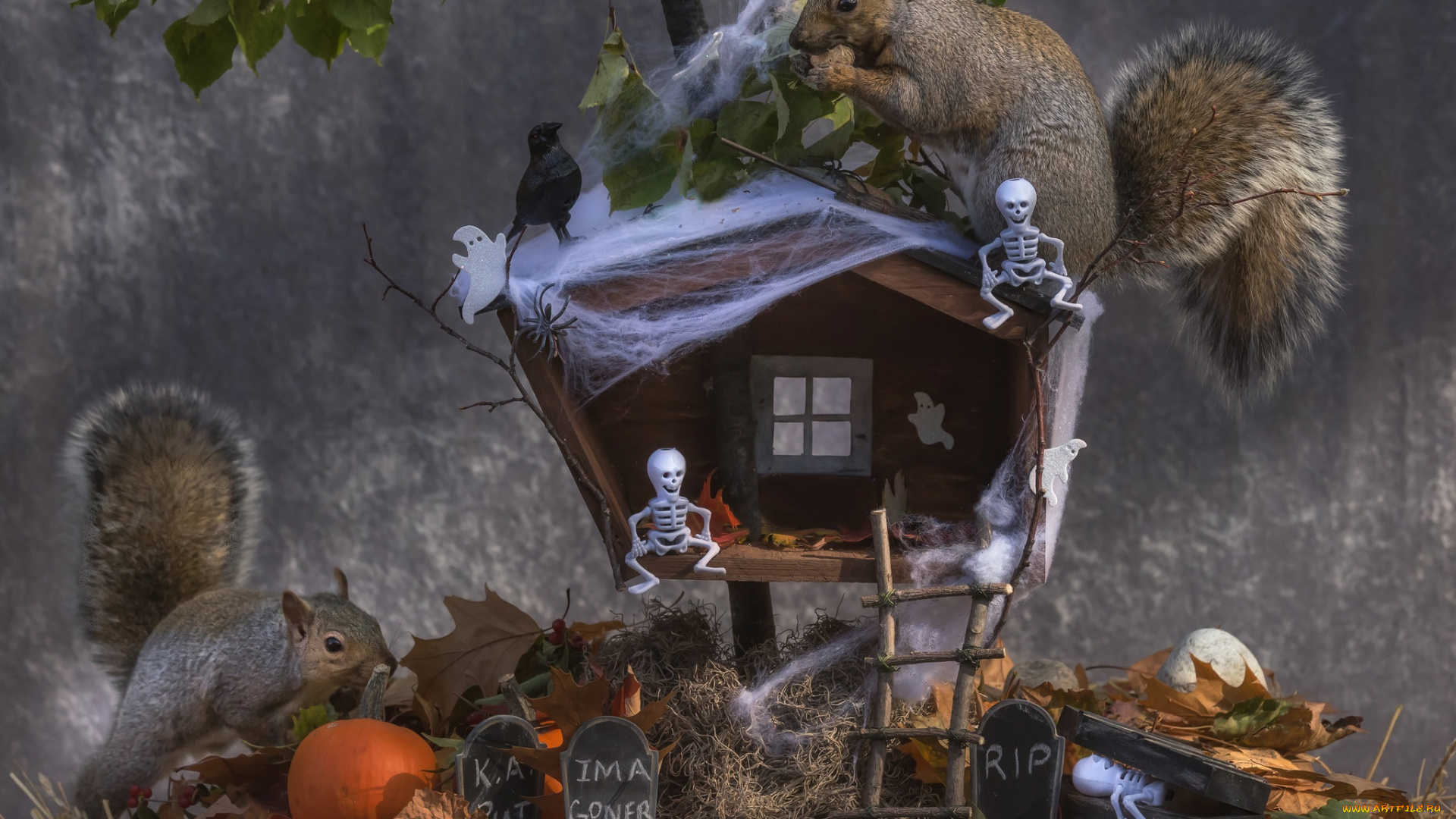 праздничные, хэллоуин, листья, скелетики, тыква, хеллоуин, птичка, избушка, осень, белки