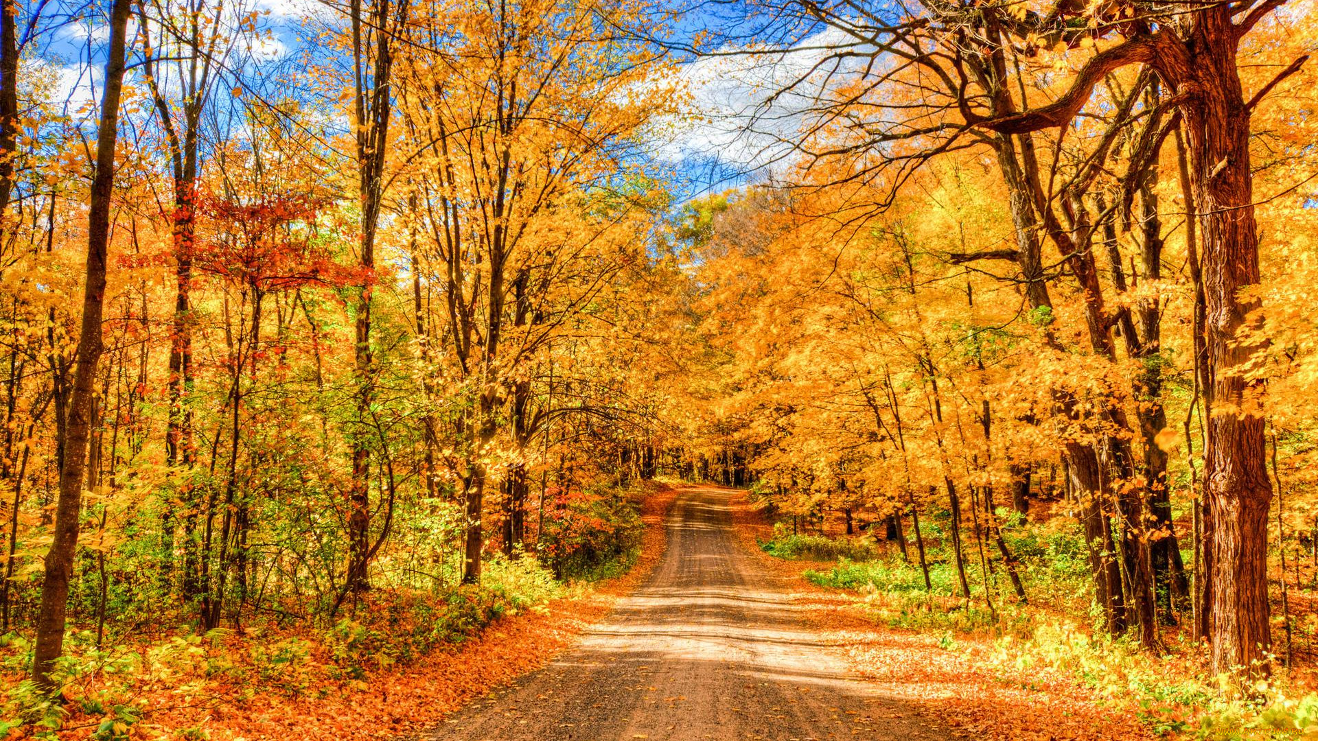 природа, дороги, осень, лес, дорога, деревья