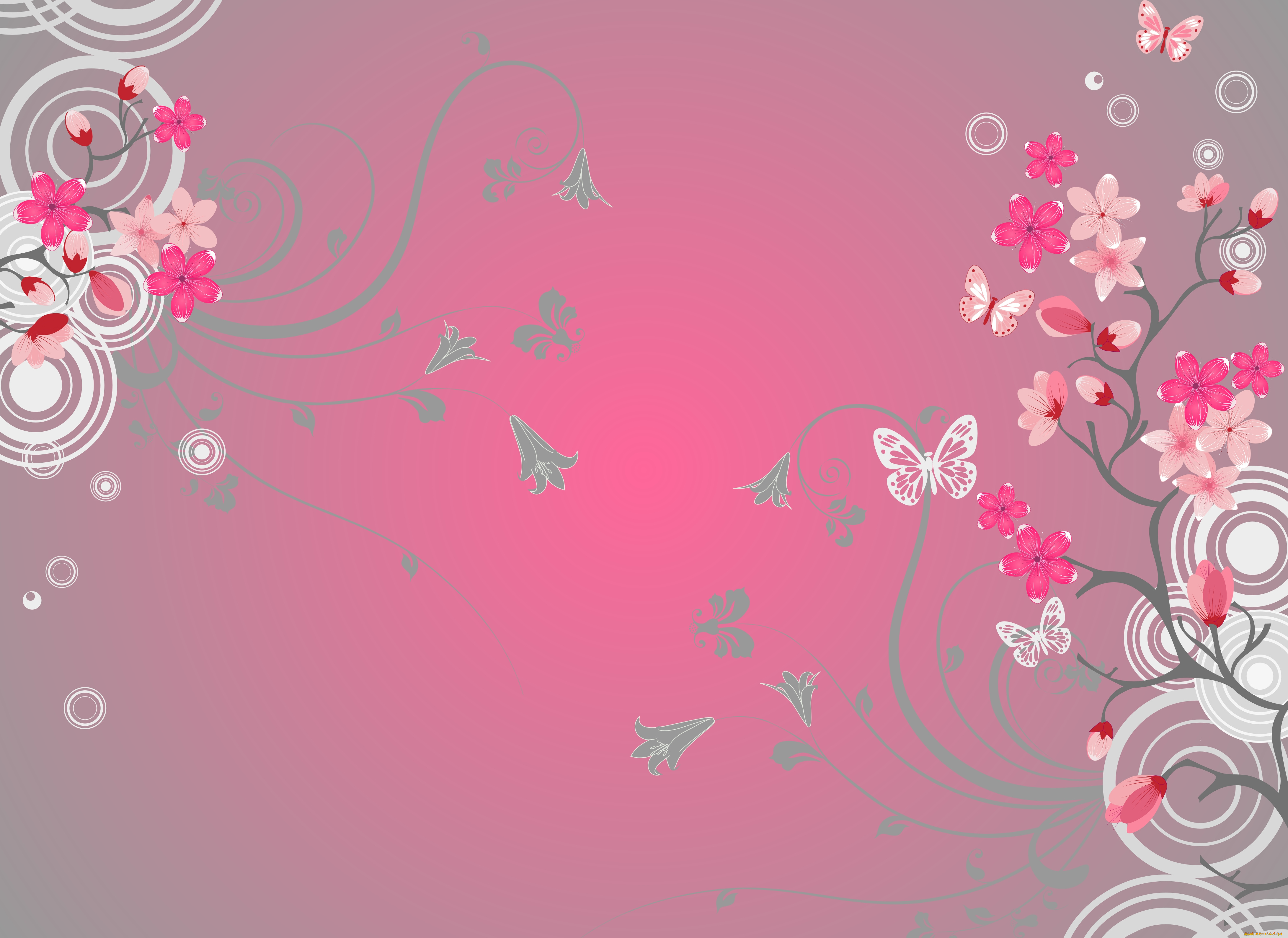 Бабочки розовые фон. Розовый фон. Красивый фон. Розовые цветы фон. Нежный фон для открытки.