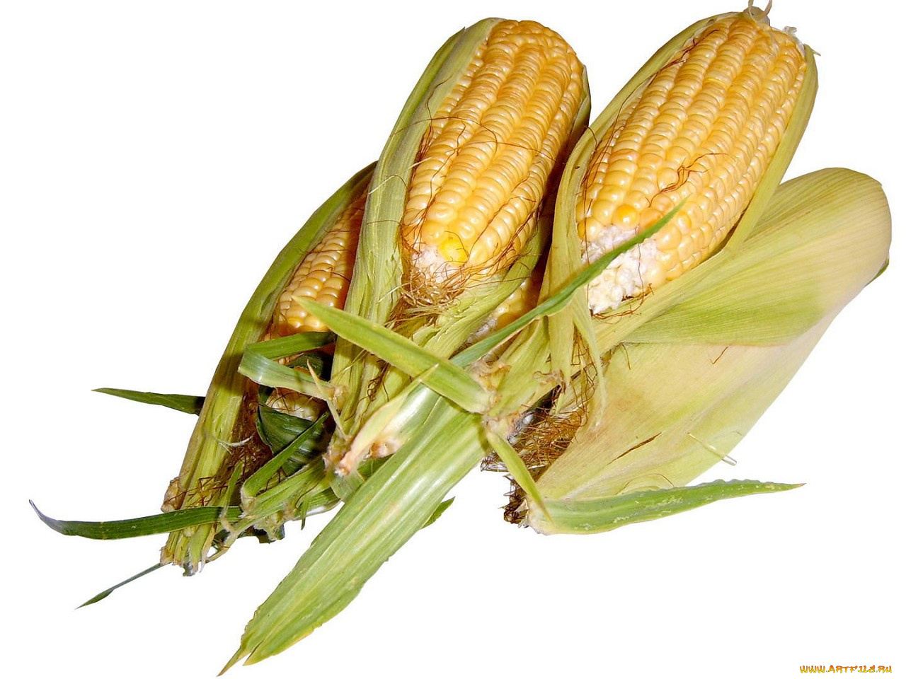 еда, кукуруза