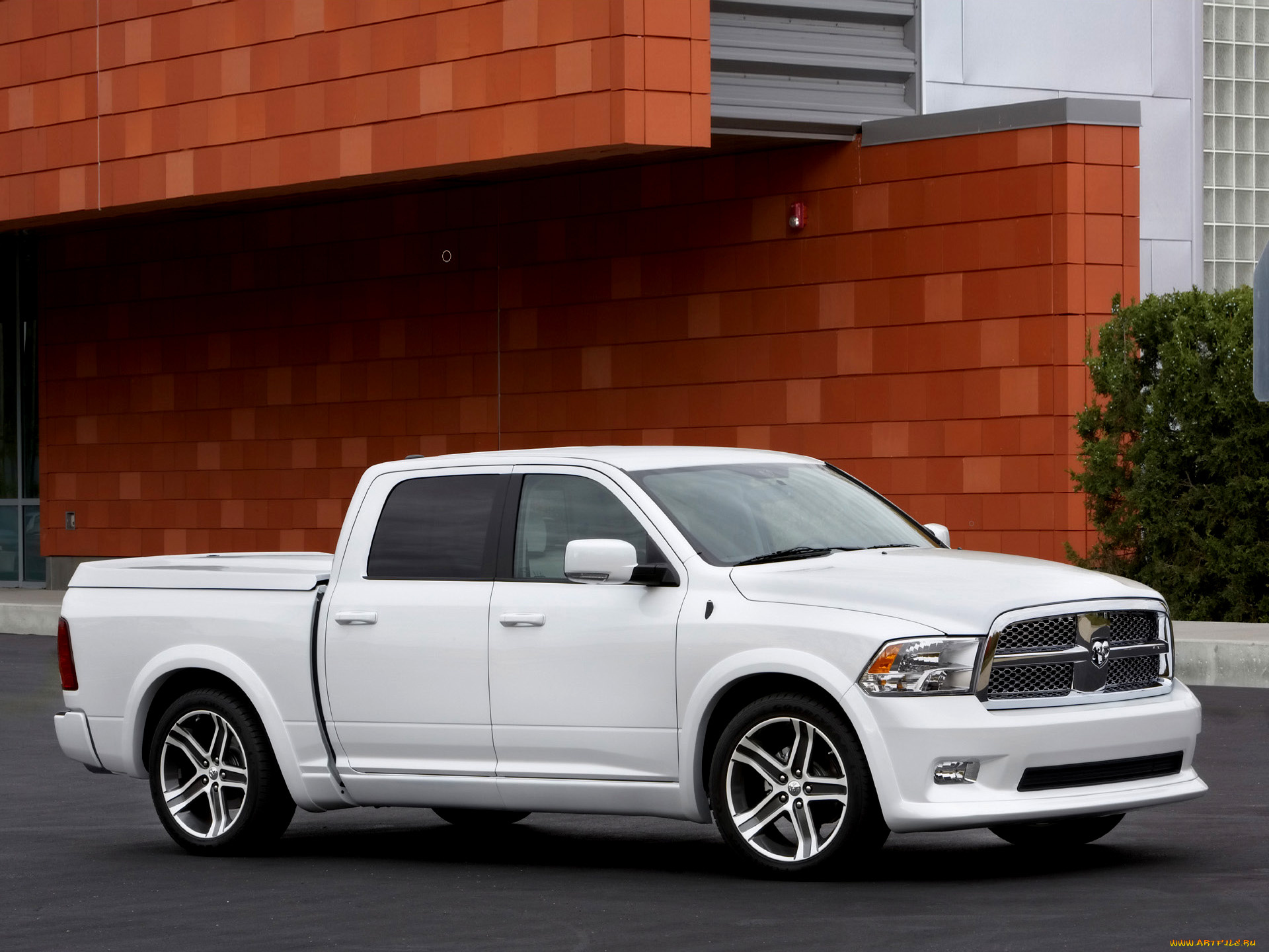 2009, dodge, ram, bianco, автомобили