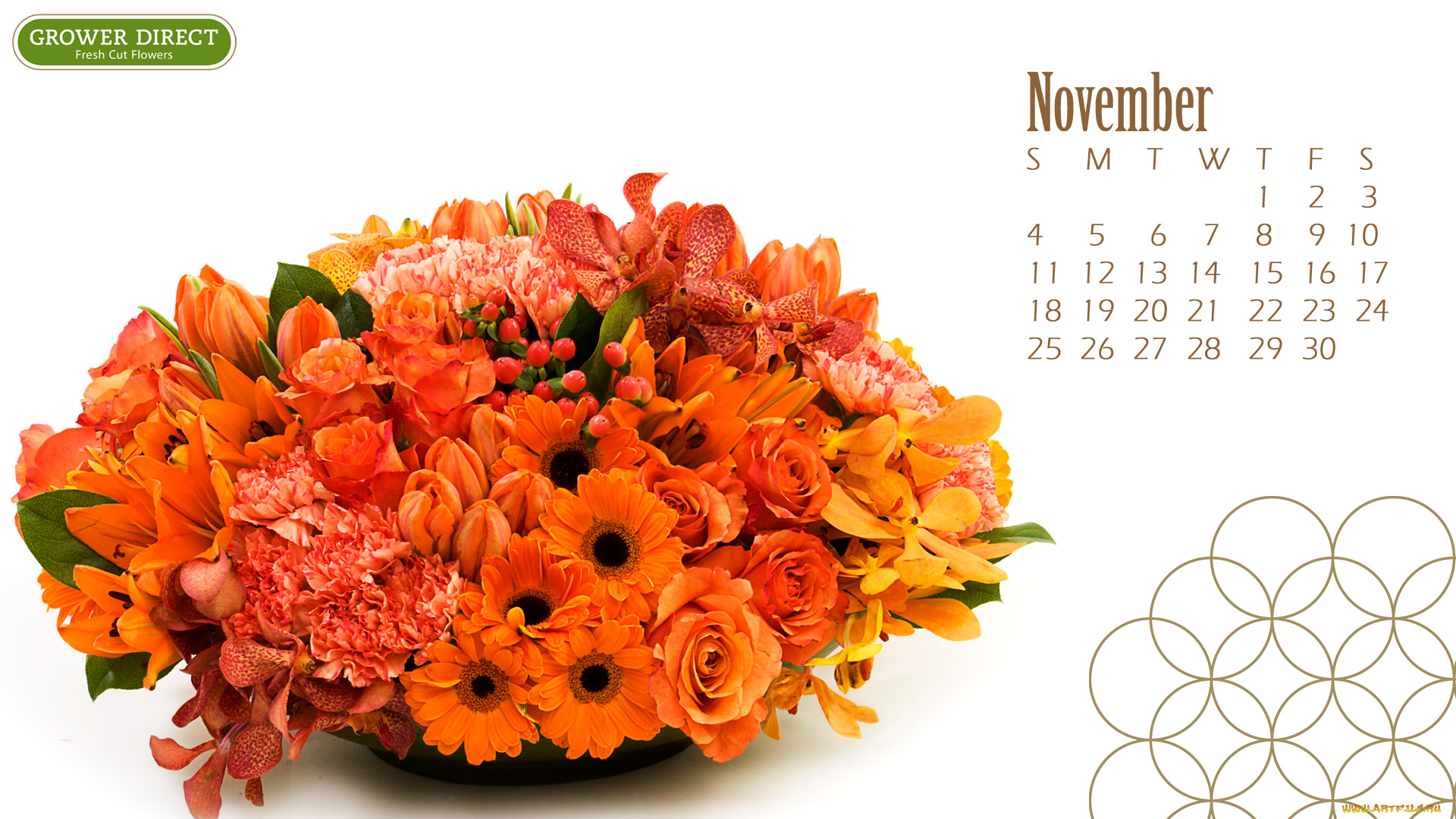 календари, цветы, герберы, розы, орхидеи, гвоздики