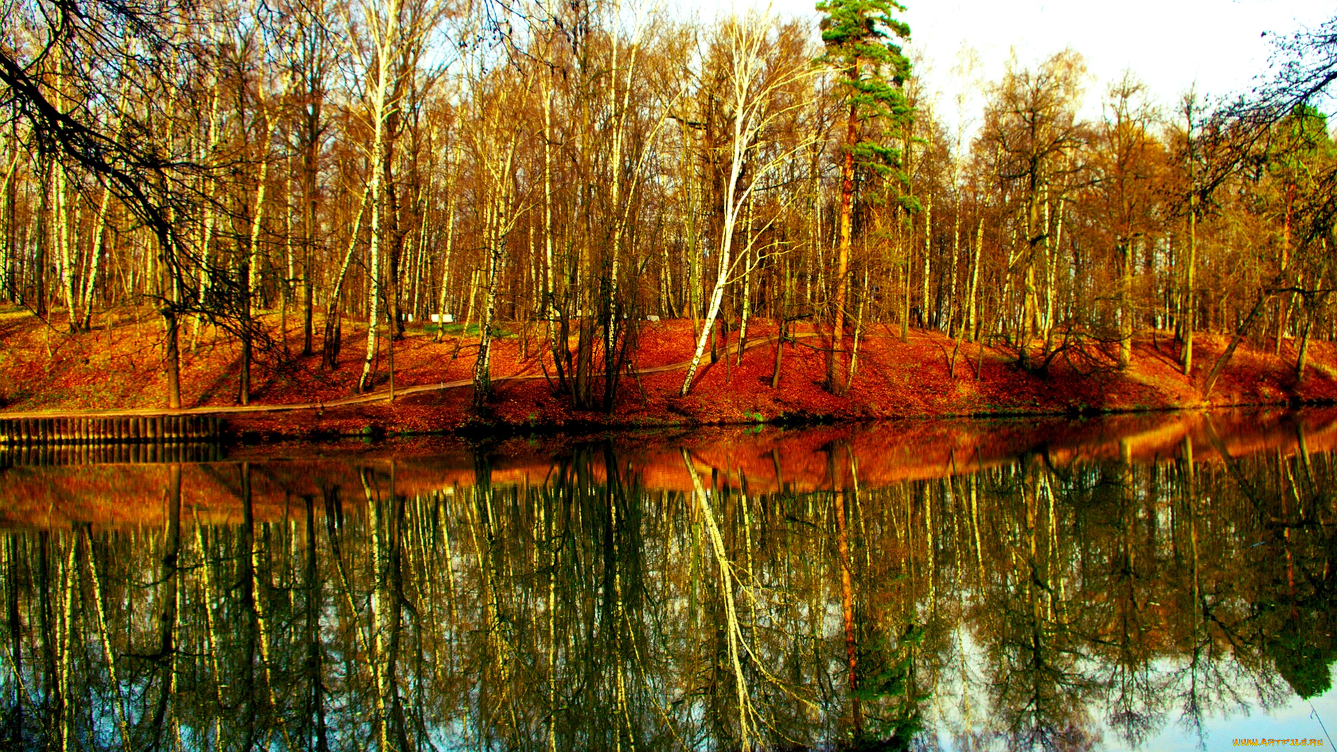 природа, реки, озера, краски, березки, осень, лес, река