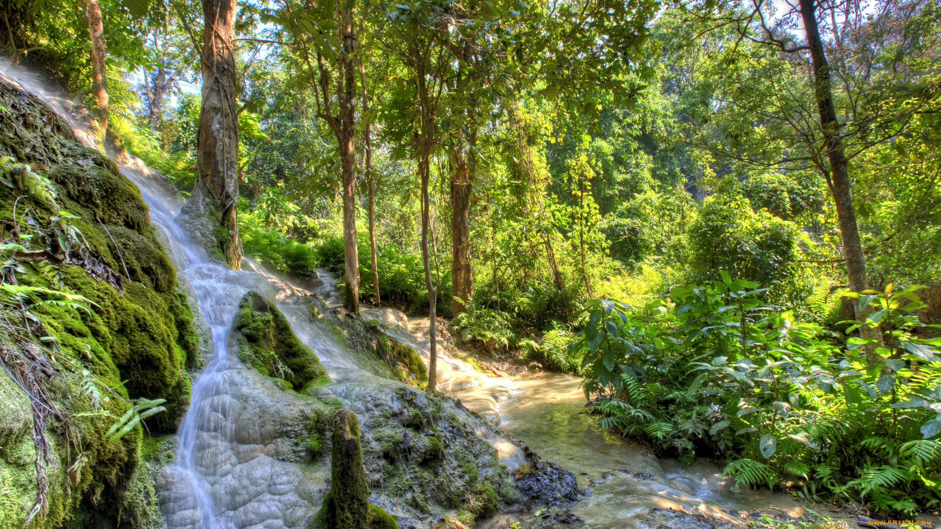 steinbachklamm, austria, природа, водопады, лес, водопад